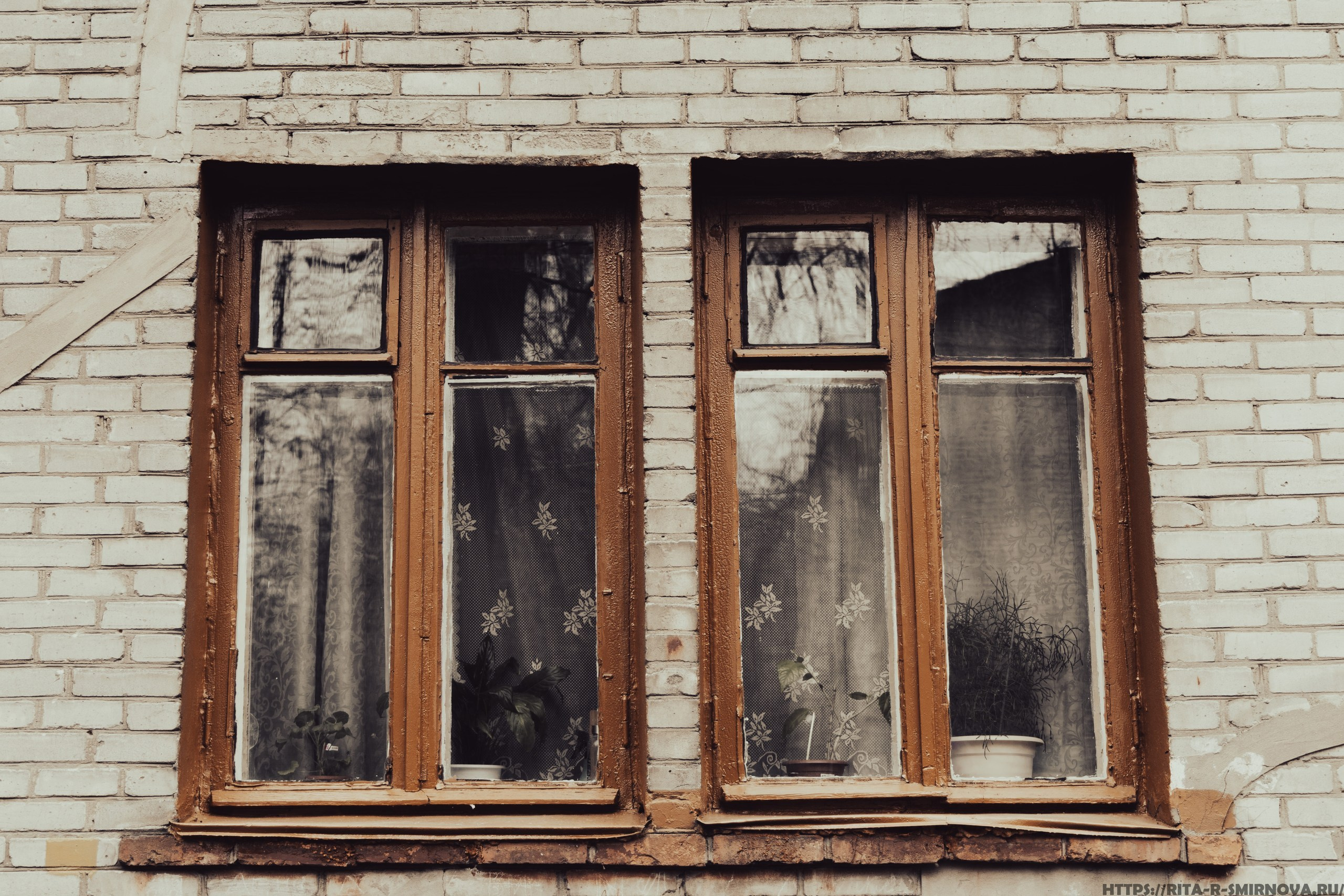 Назад в прошлое