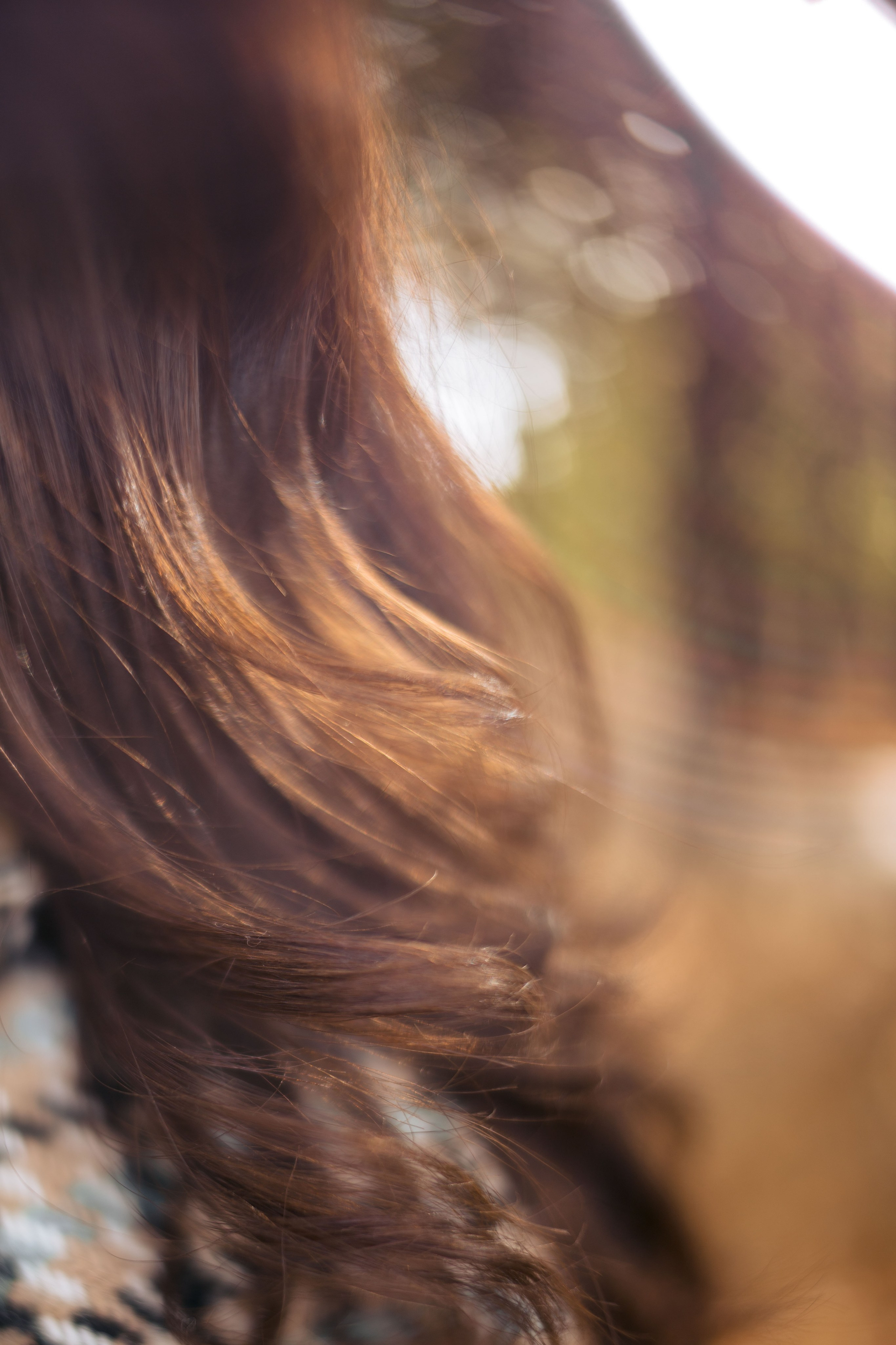 Семейная фотосессия в парке, прогулка по парку. Фотограф Валерия Горбунова Подольск Бутово Видное Щербинка