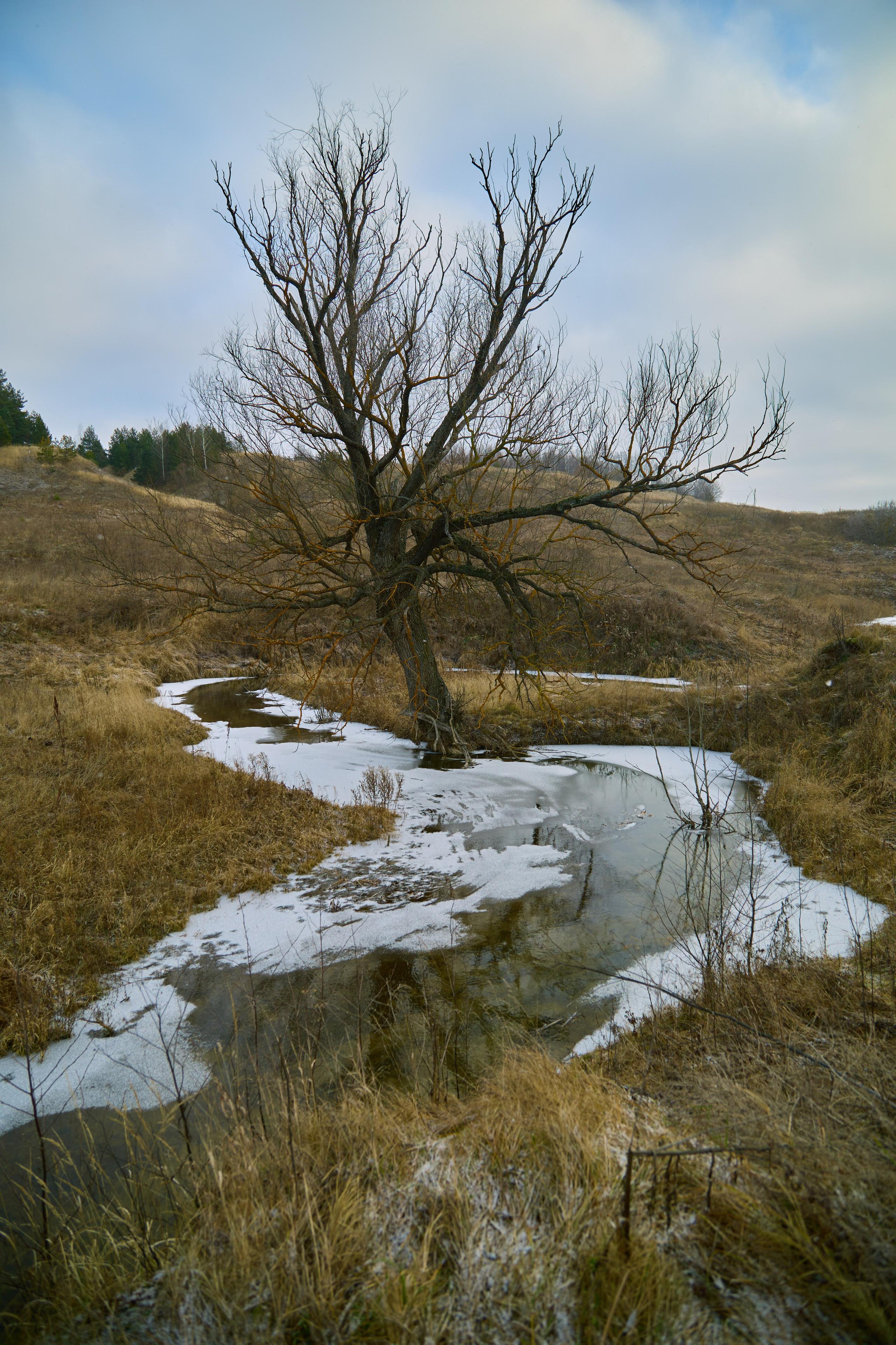 Пейзажная фотосъемка. Владимир Суздалов (ProMaXe) — Портретный фотограф, тематические фотосессии в Чебоксарах