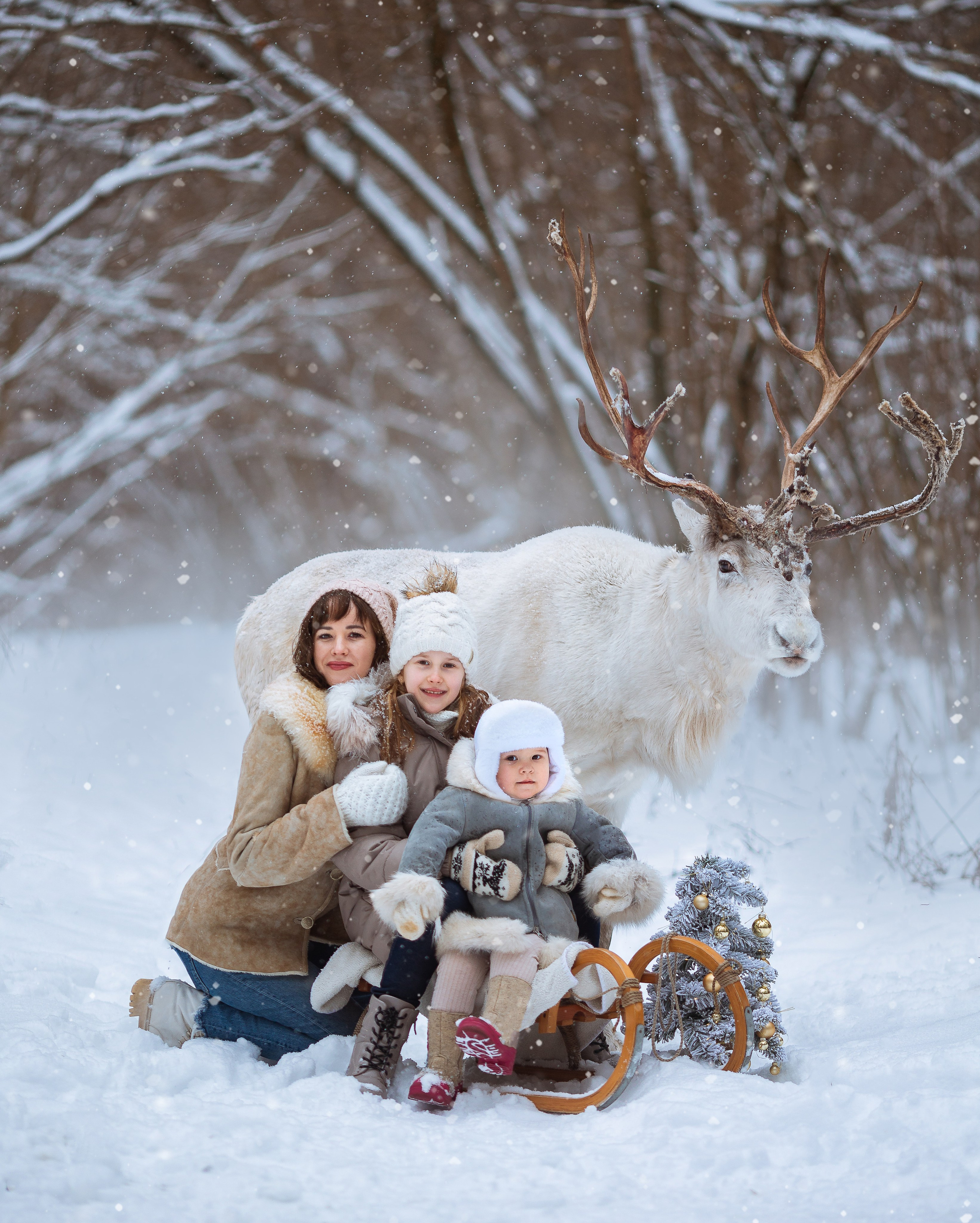 Фотосессии с оленями. Фотограф Лия Милк | Москва, Подмосковье
