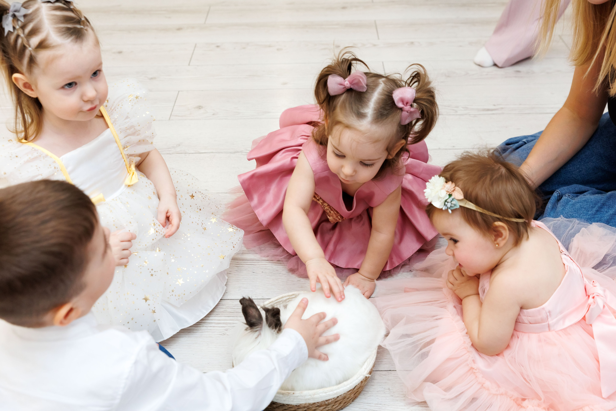 Клуб семейных развлечений Гости. Фотограф Новосибирск — Наталья Гресь