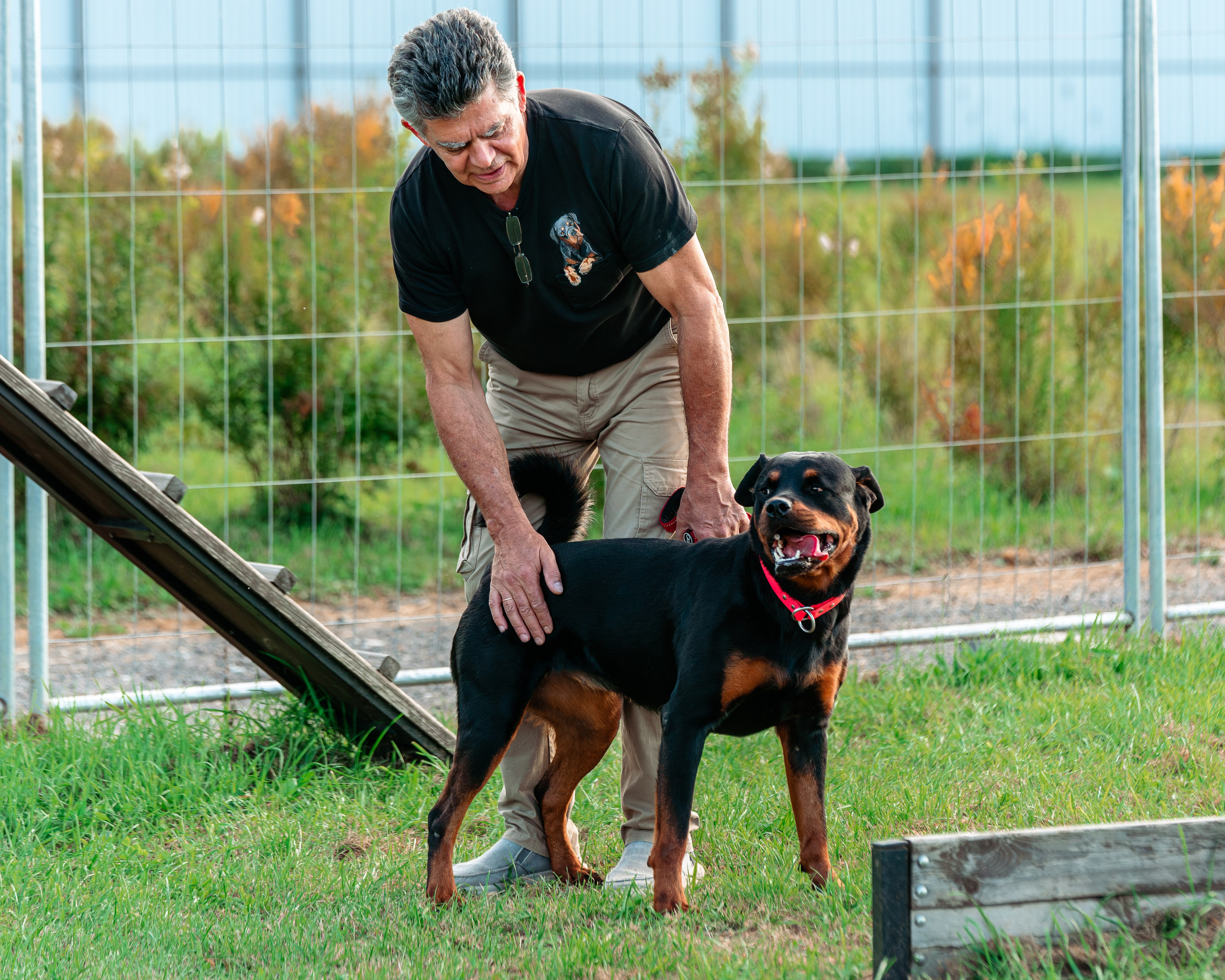 Ваш путь к ПОБЕДЕ (ТРЕНИРОВКИ). Фотограф-анималист, семейный фотограф в Москве и Подмосковье. Фотосъёмка кинологических дисциплин
