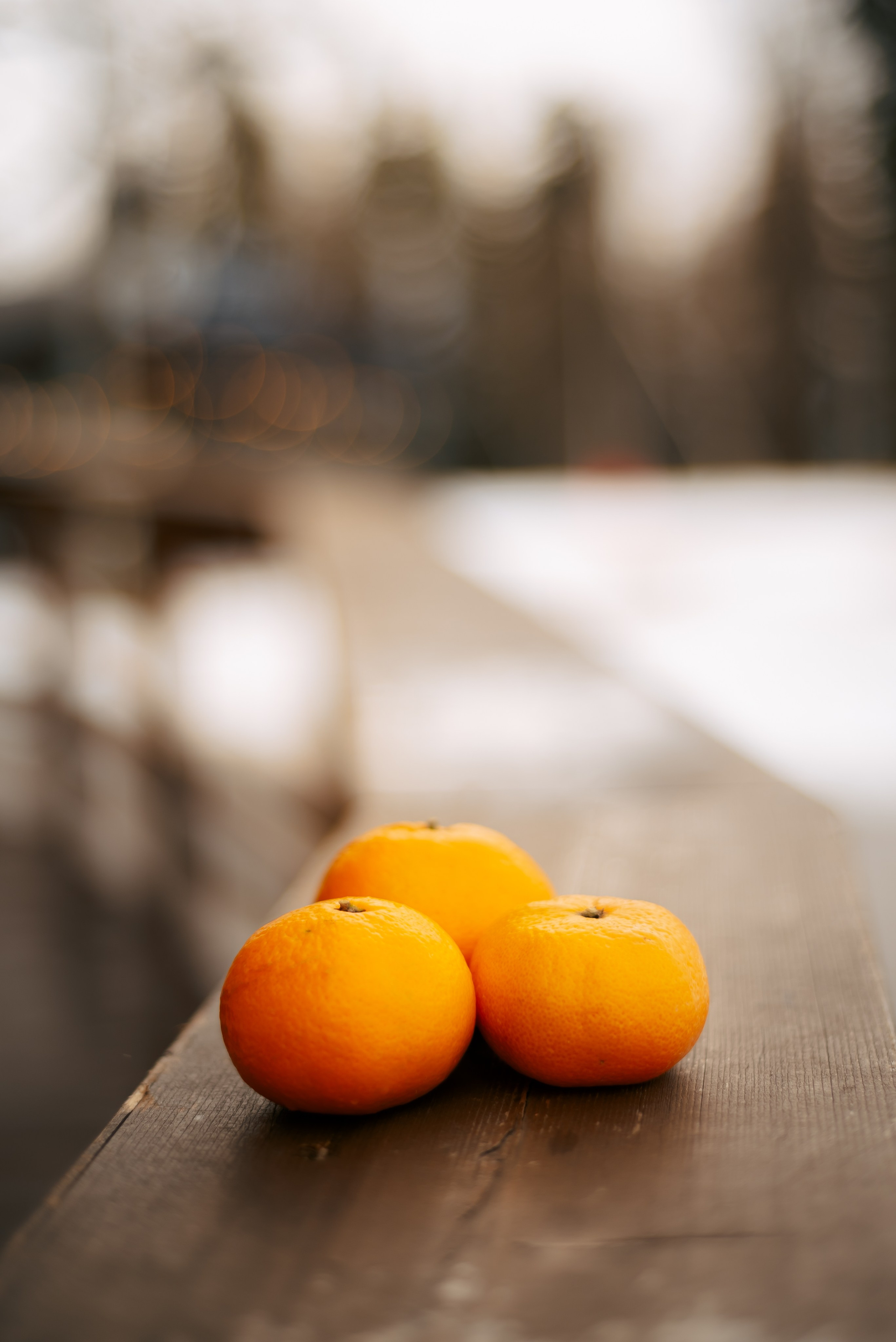 Красная поляна. Семейный и женский фотограф Лоо Краснодар Сочи Энем Татьяна Трибурт