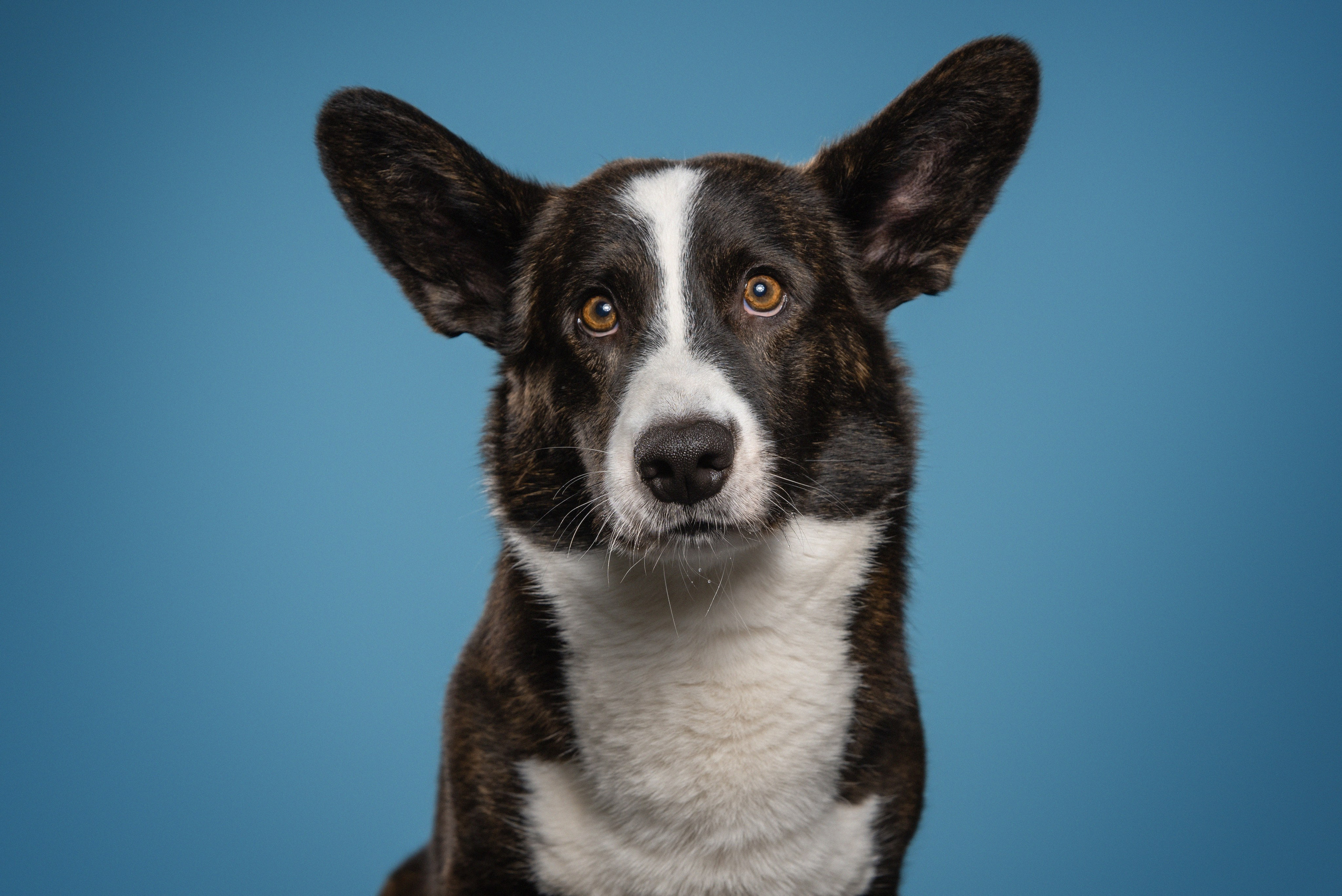 Фотодень в Нижнем Новгороде. Фотограф Анна Тюрина