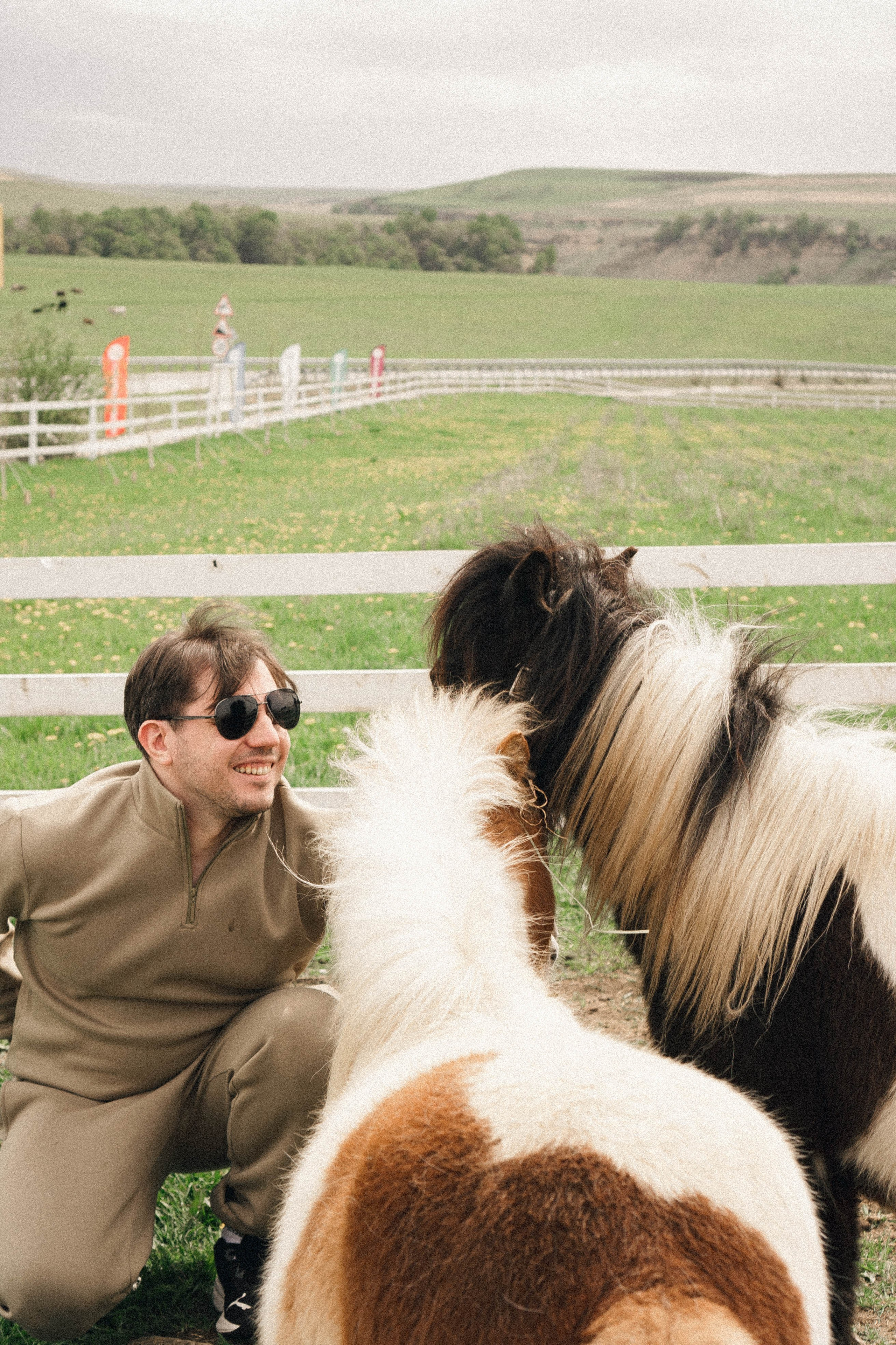 Ферма Альпак. Профессиональный фотограф, Санкт-Петербург — Виктория Богомолова