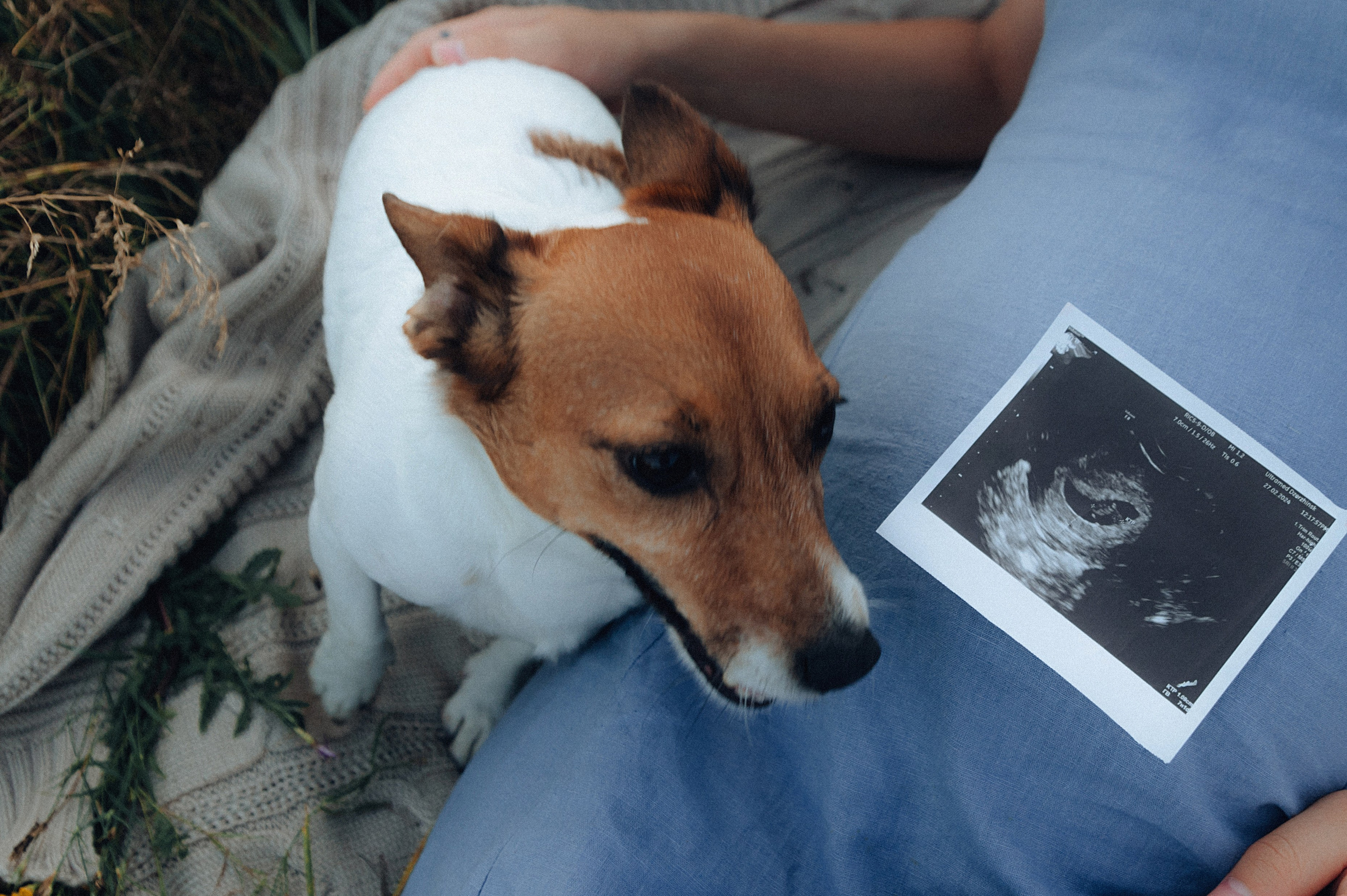Лес.закат.Вика и Денис. Детский и семейный фотограф Катерина Мишина