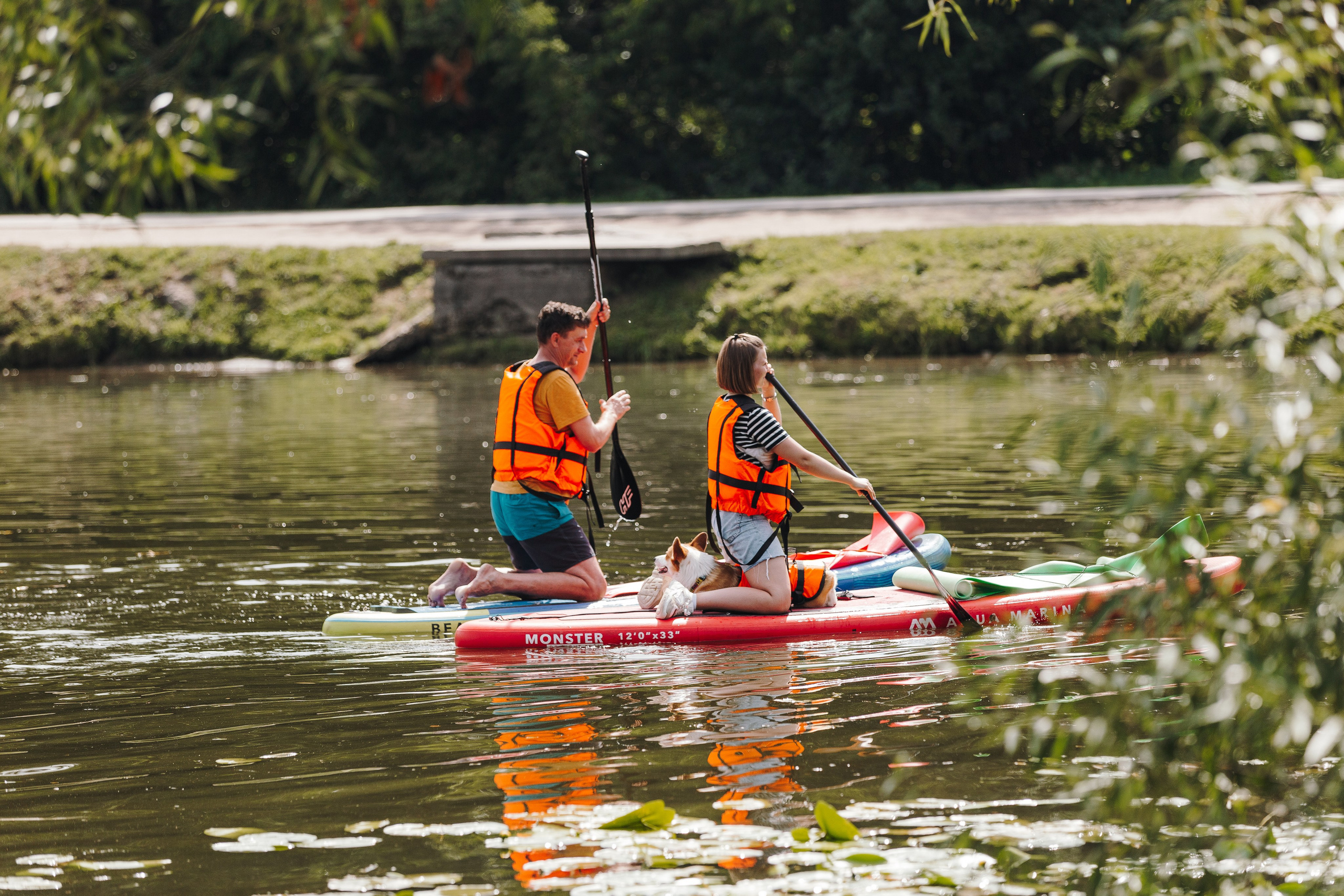 Petshop Sup day. Фотограф анималист Кристина Карпова, Москва