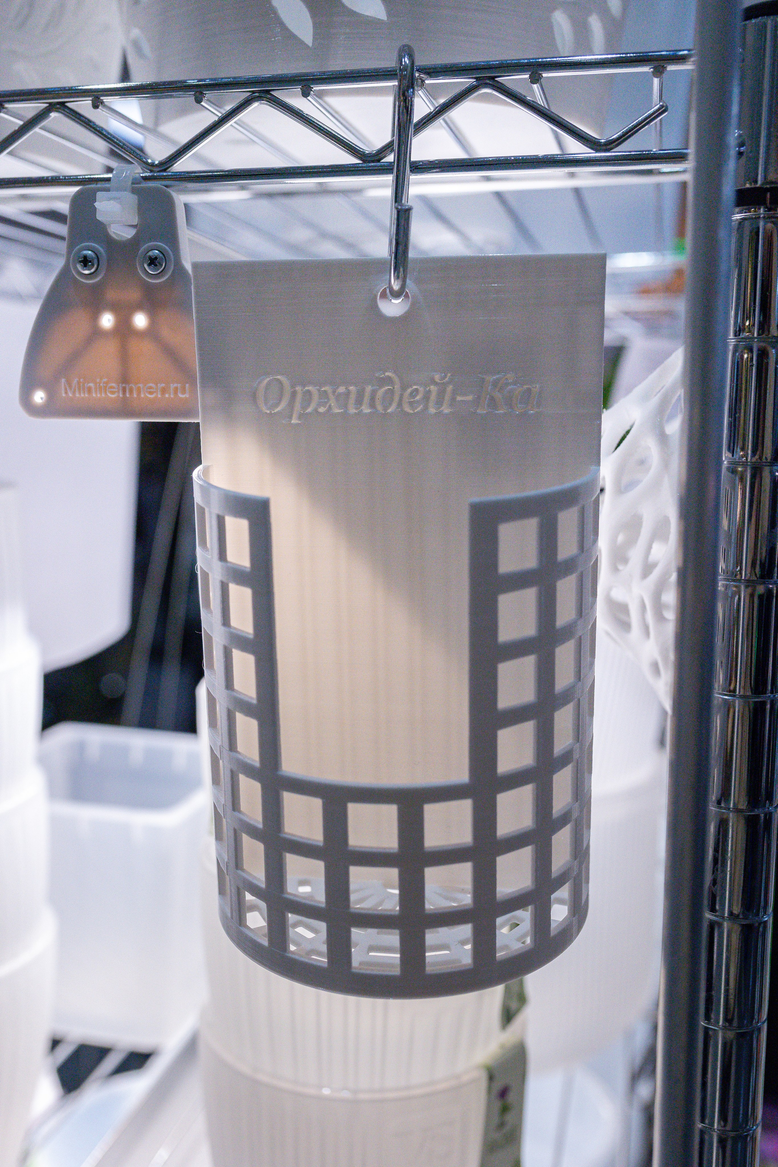 Орхидиум 12.2025. Александра Куликова фотограф, Москва