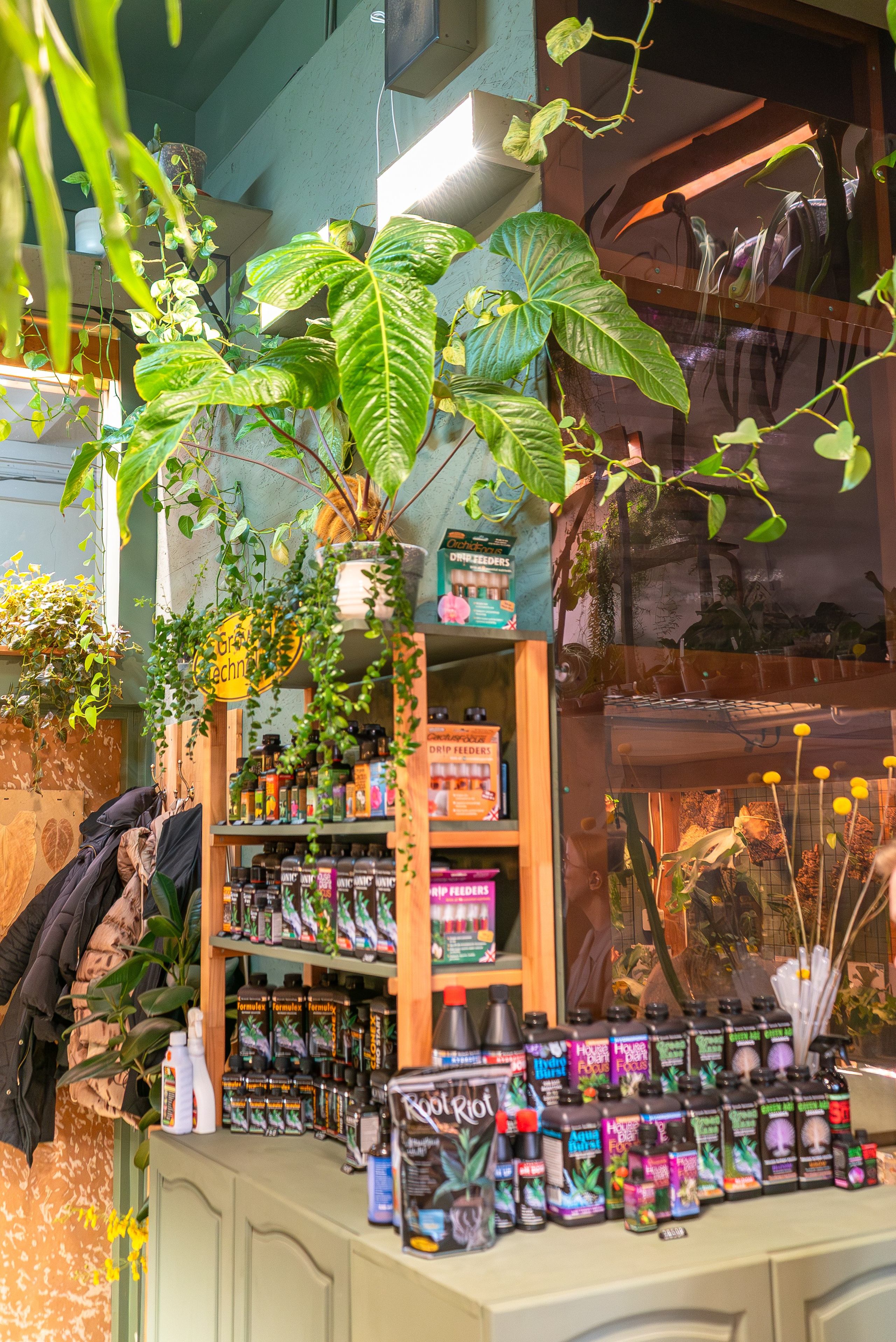 Make more plants. Александра Куликова фотограф, Москва