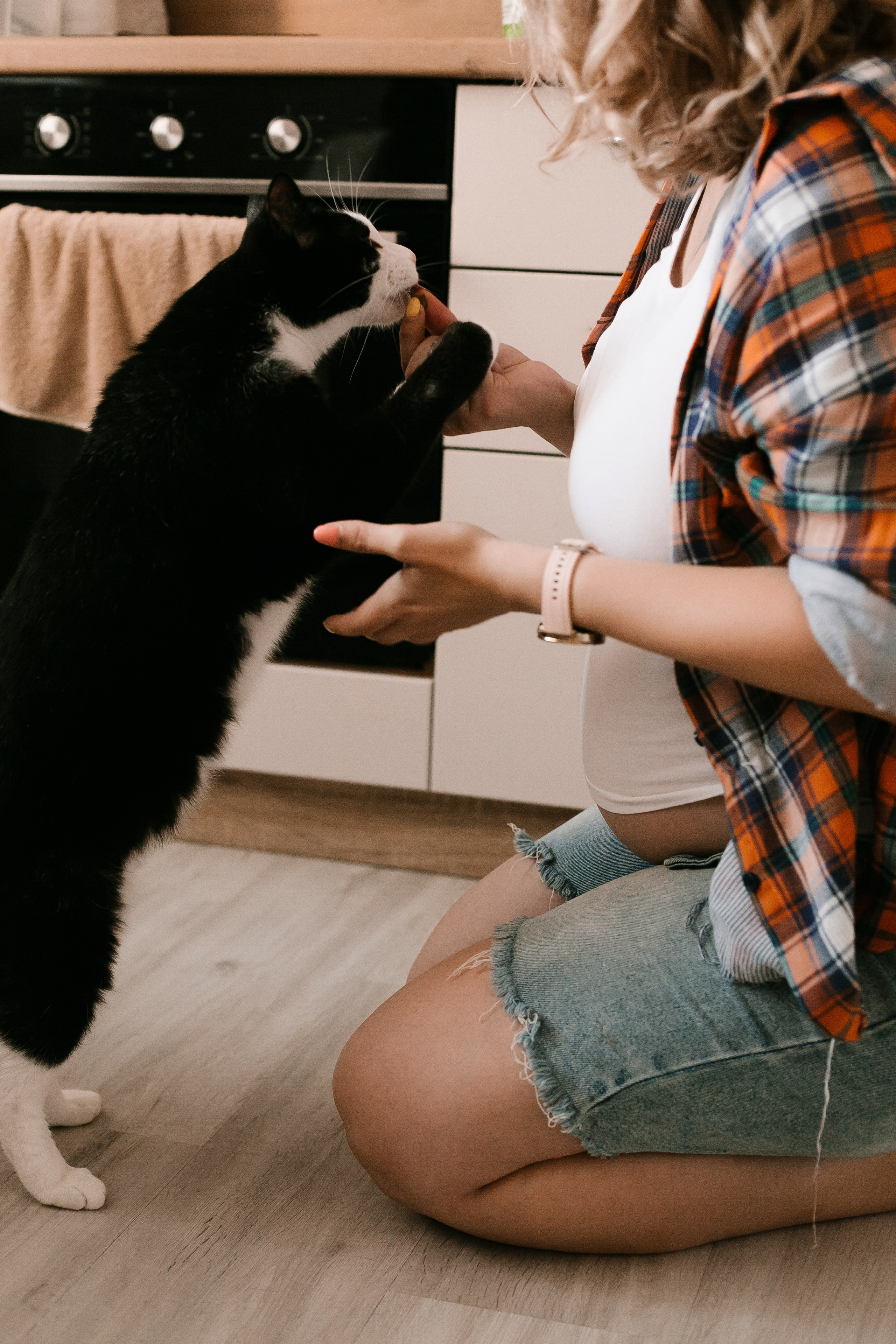 Дарья, Артем и котики все ждут. Свадебный, семейный и детский фотограф в г. Абакан респ. Хакасия Любов