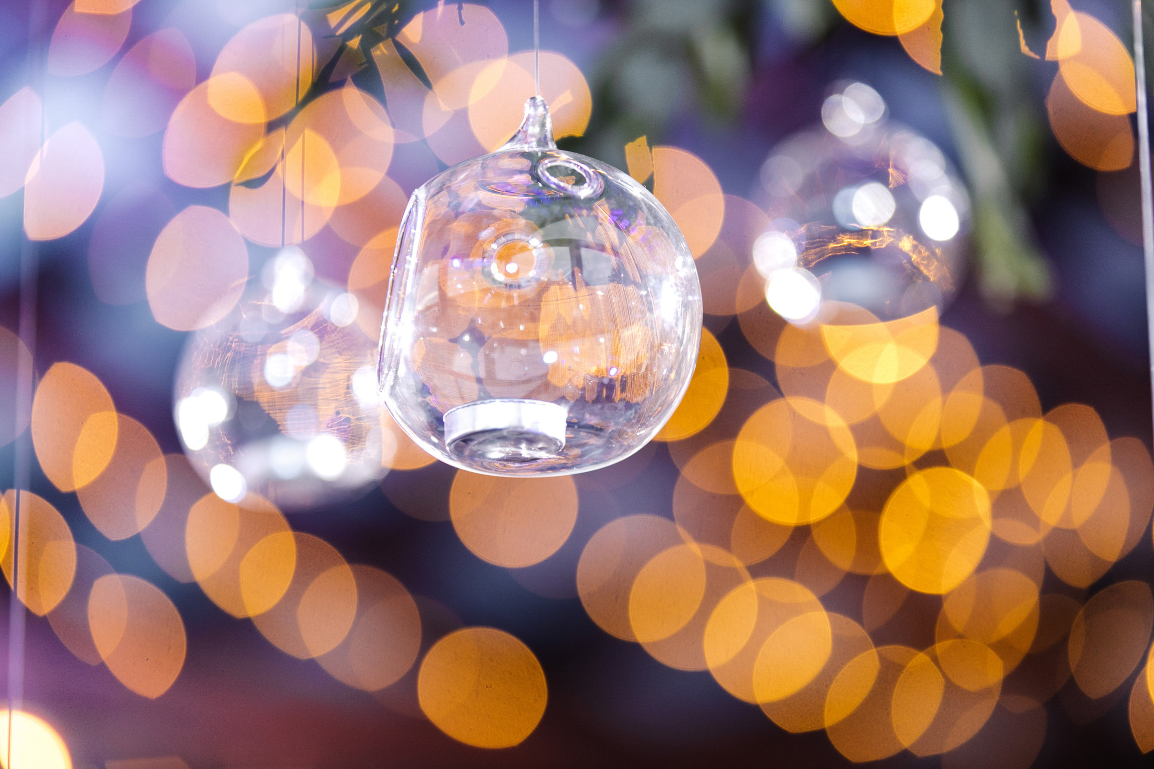 Единение с природой. Свадебный день Кати и Саши