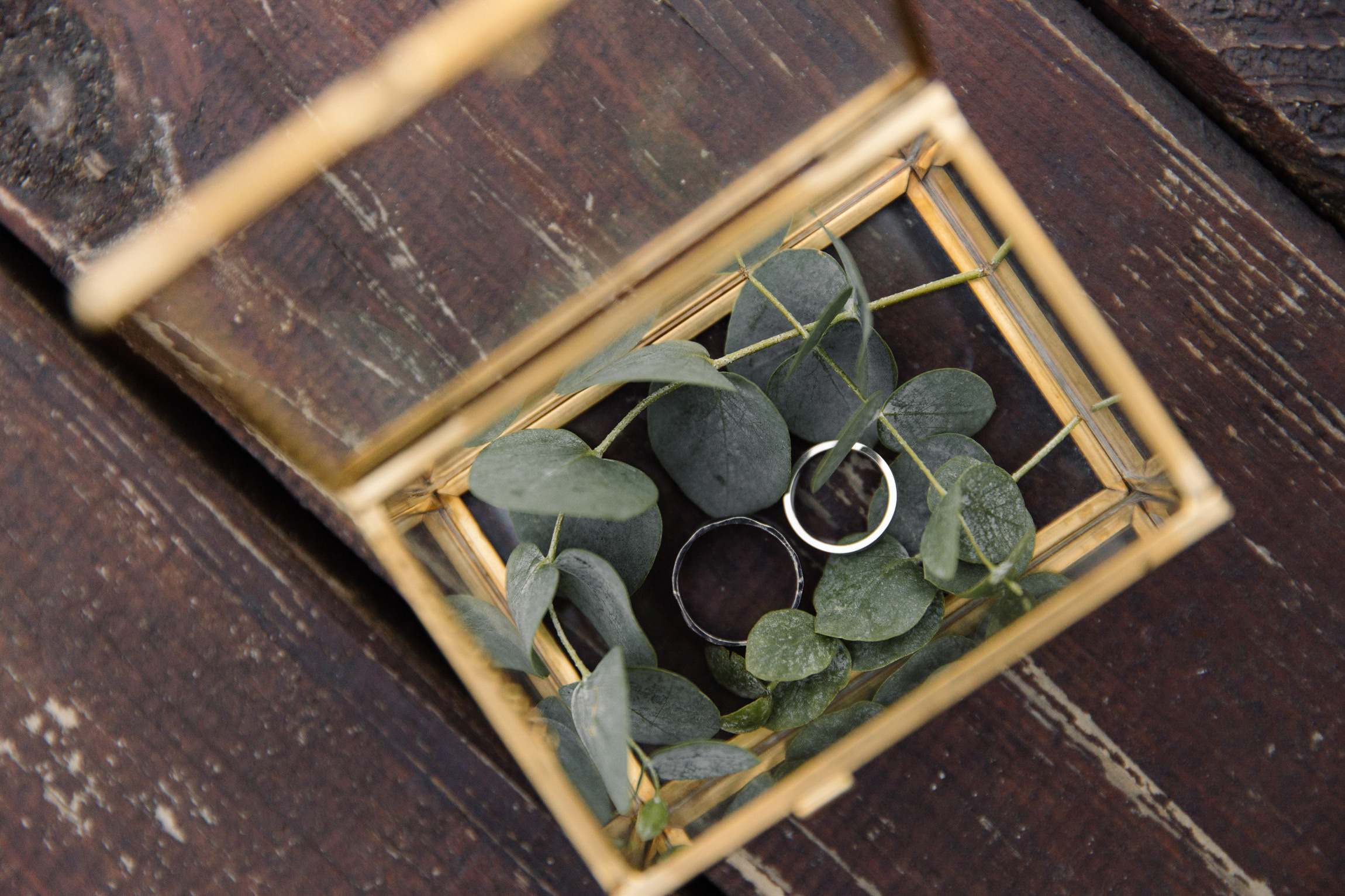 Единение с природой. Свадебный день Кати и Саши