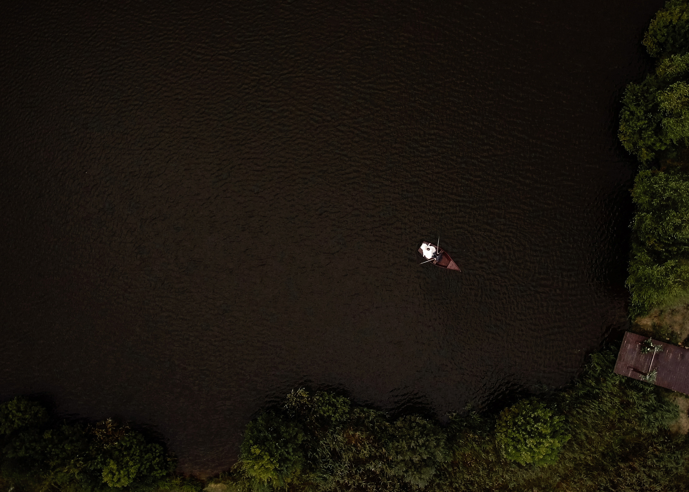 Единение с природой. Свадебный день Кати и Саши