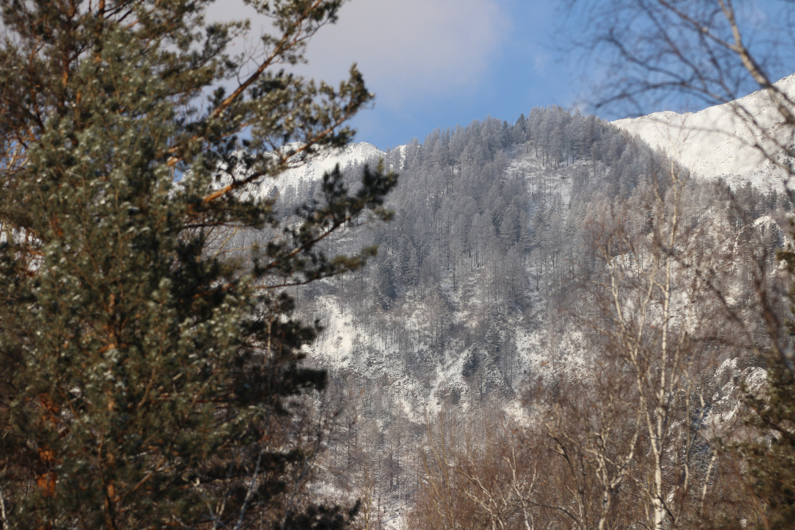 Аршан. Январь 2024. Путешественник-фотограф из Санкт-Петербурга Татьяна Свистулина