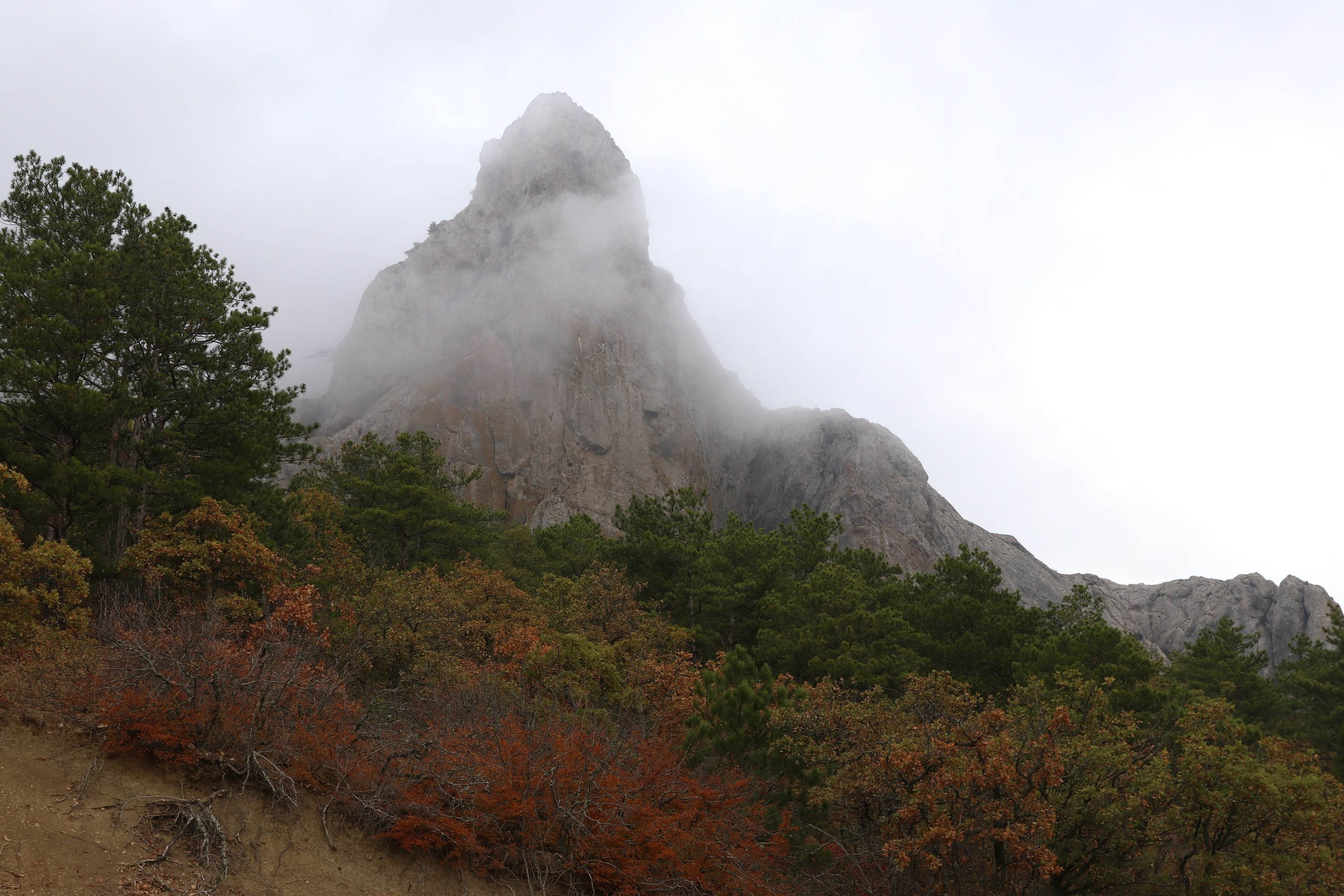 Крым. ЮБК (Гурзуф, Судак и их окрестности). Ноябрь 2023. Путешественник-фотограф из Санкт-Петербурга Татьяна Свистулина