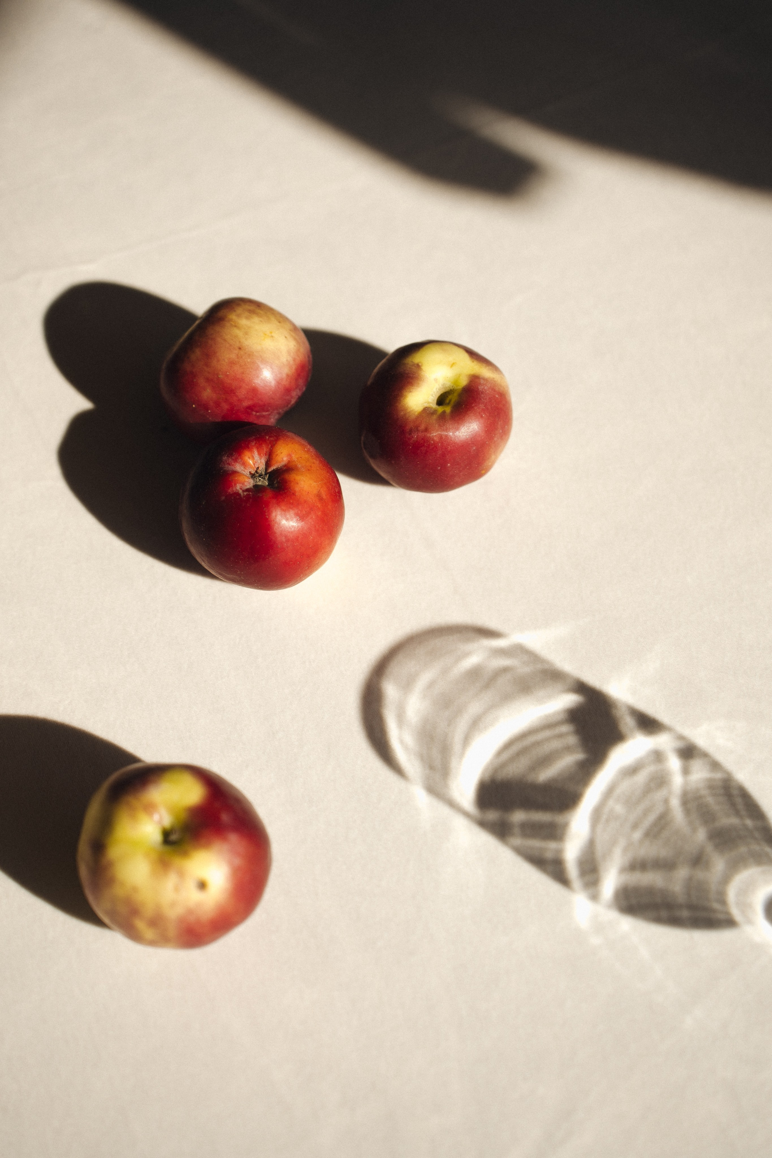 Катя & Егор. Оформление свадеб, декор свадеб Вера Маркова, Москва