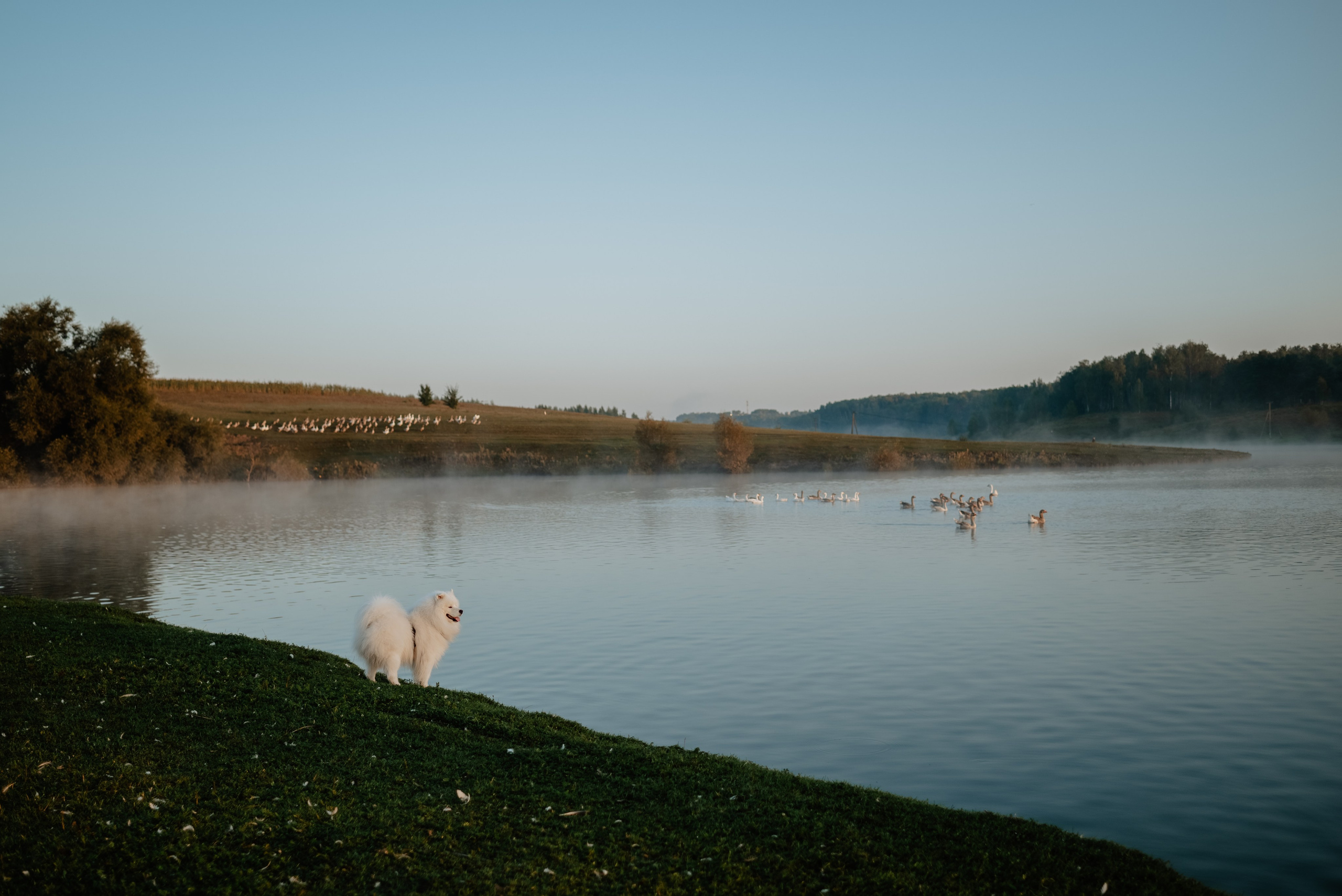На рассвете. Свадебный и портретный фотограф в Брянске и Москве Алина Химушкина