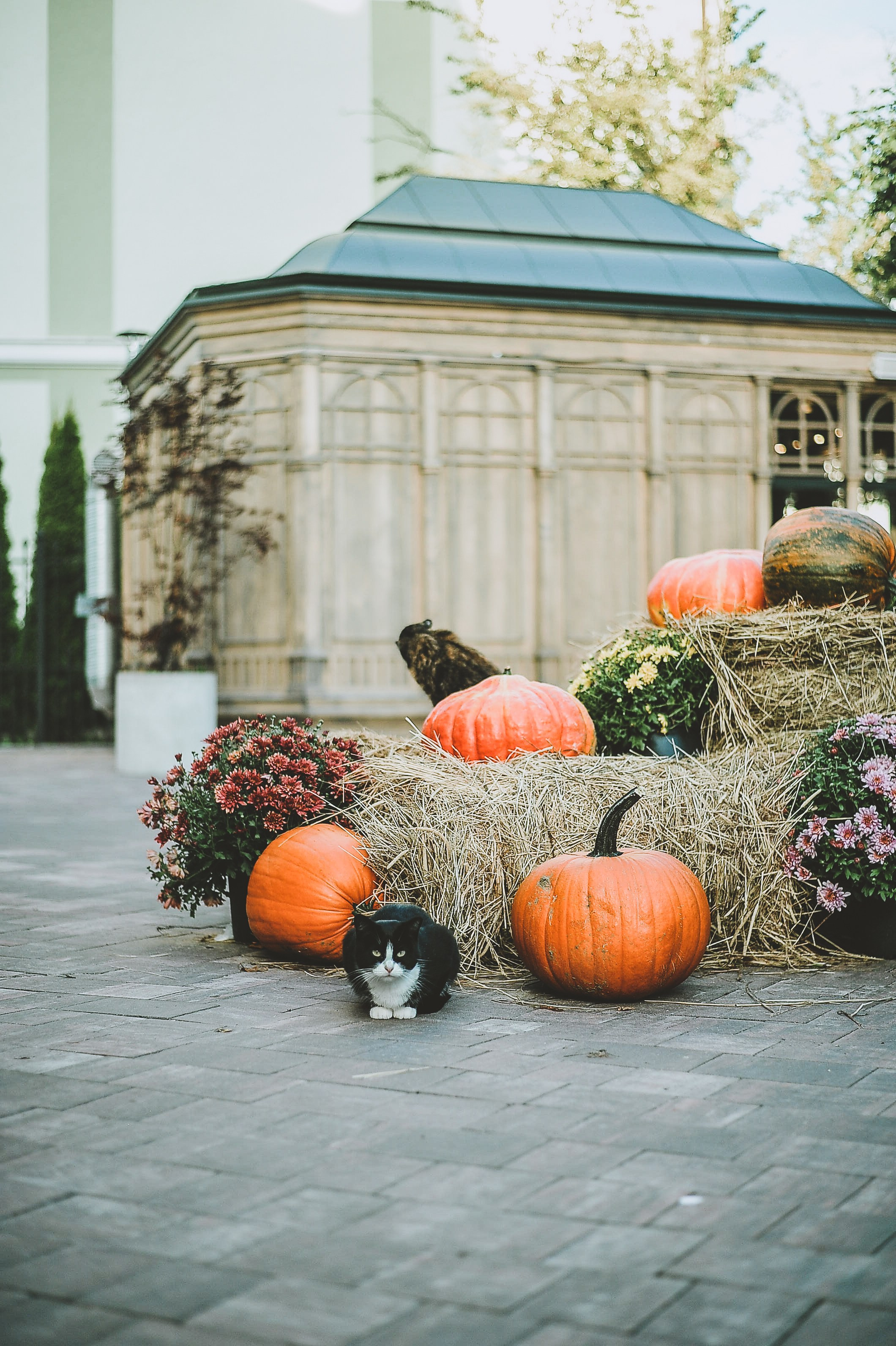 Йен в Калининграде. Элька Мурзина