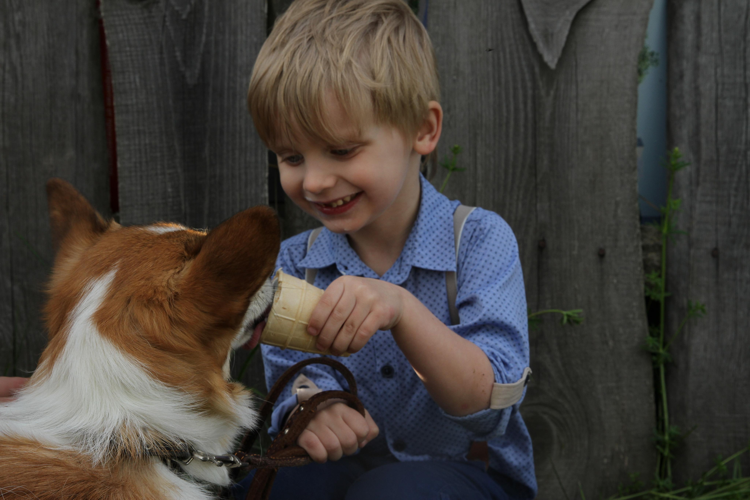 Дети. «Книжка с картинками» Фотограф Наталья Цыбина