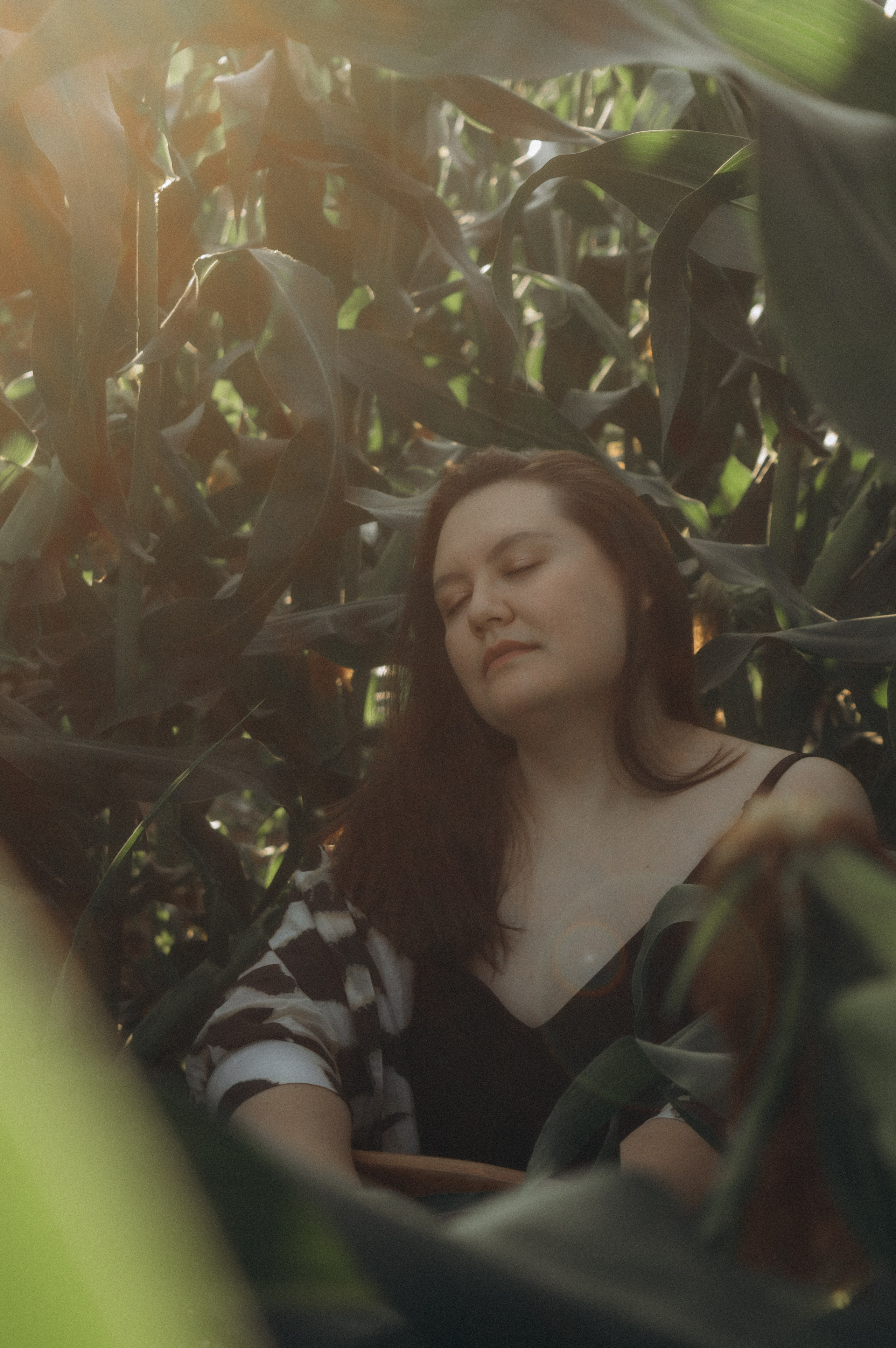 Аня. Фотосессия на кукурузном поле. Юлия Левада Семейный и женский фотограф