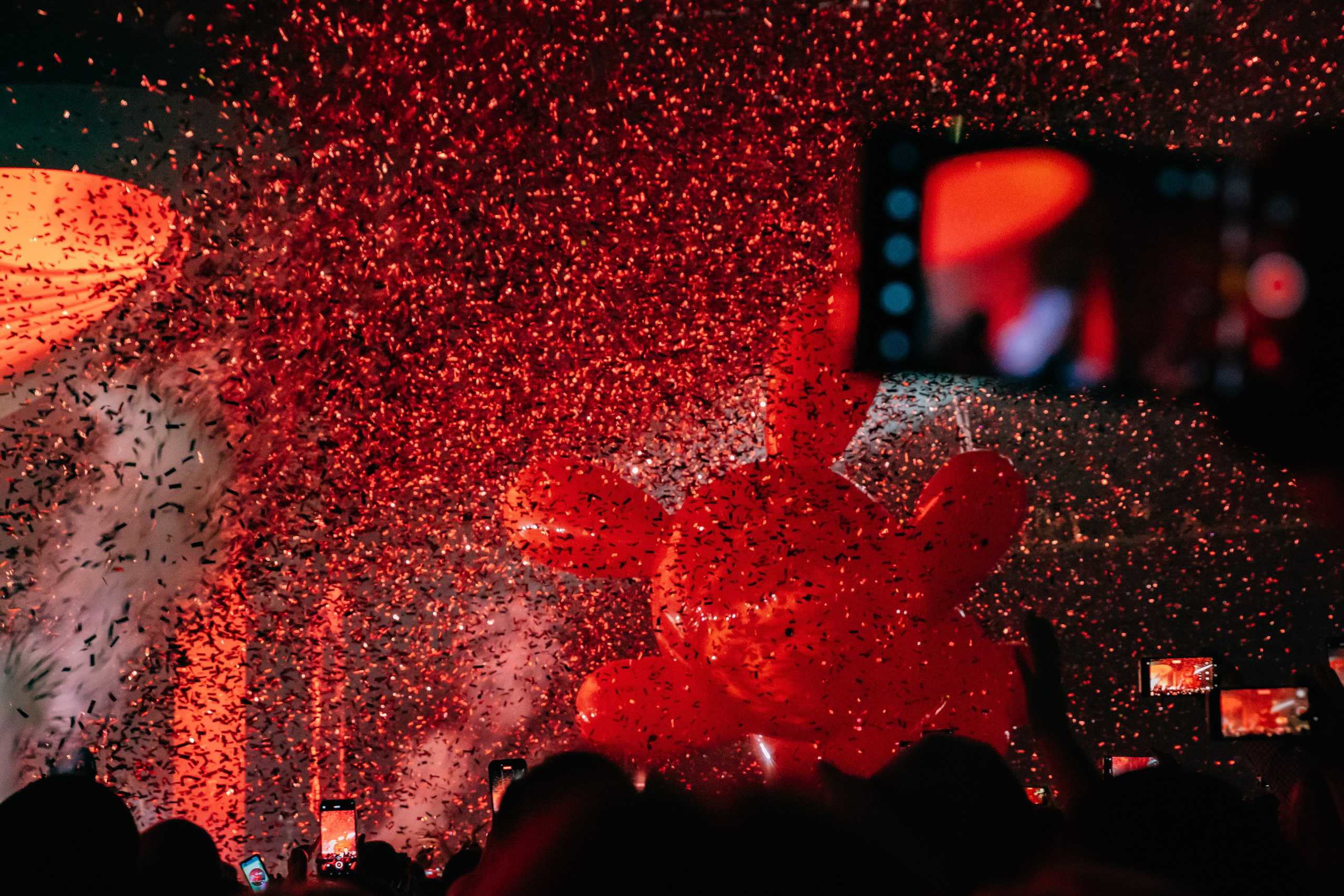 Моя Мишель VK Stadium 09.11.24. Фотограф в Москве Яна Полосина