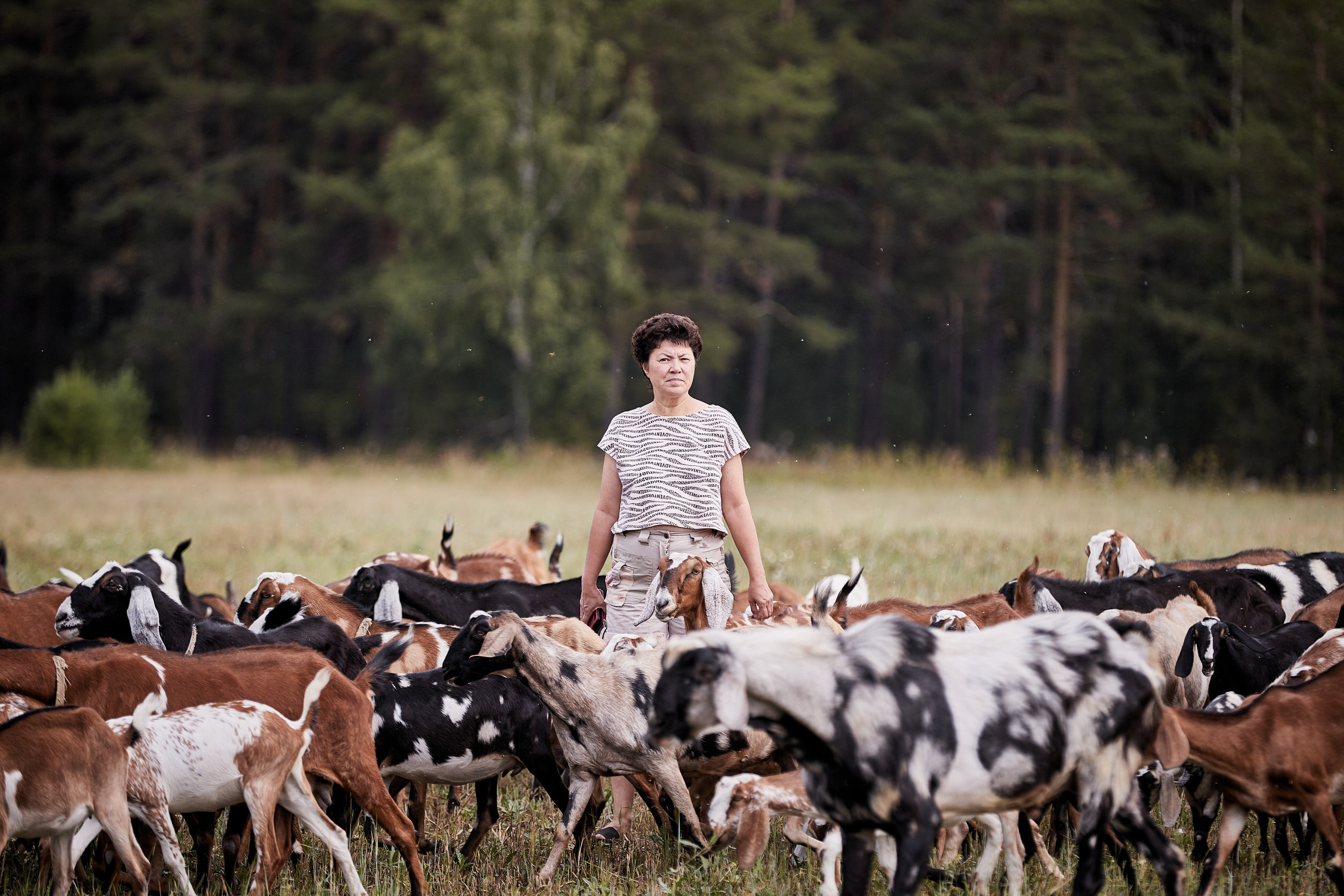 Репортаж о сельском хозяйстве. Контент для бизнеса в Екатеринбурге Полдень Медиа