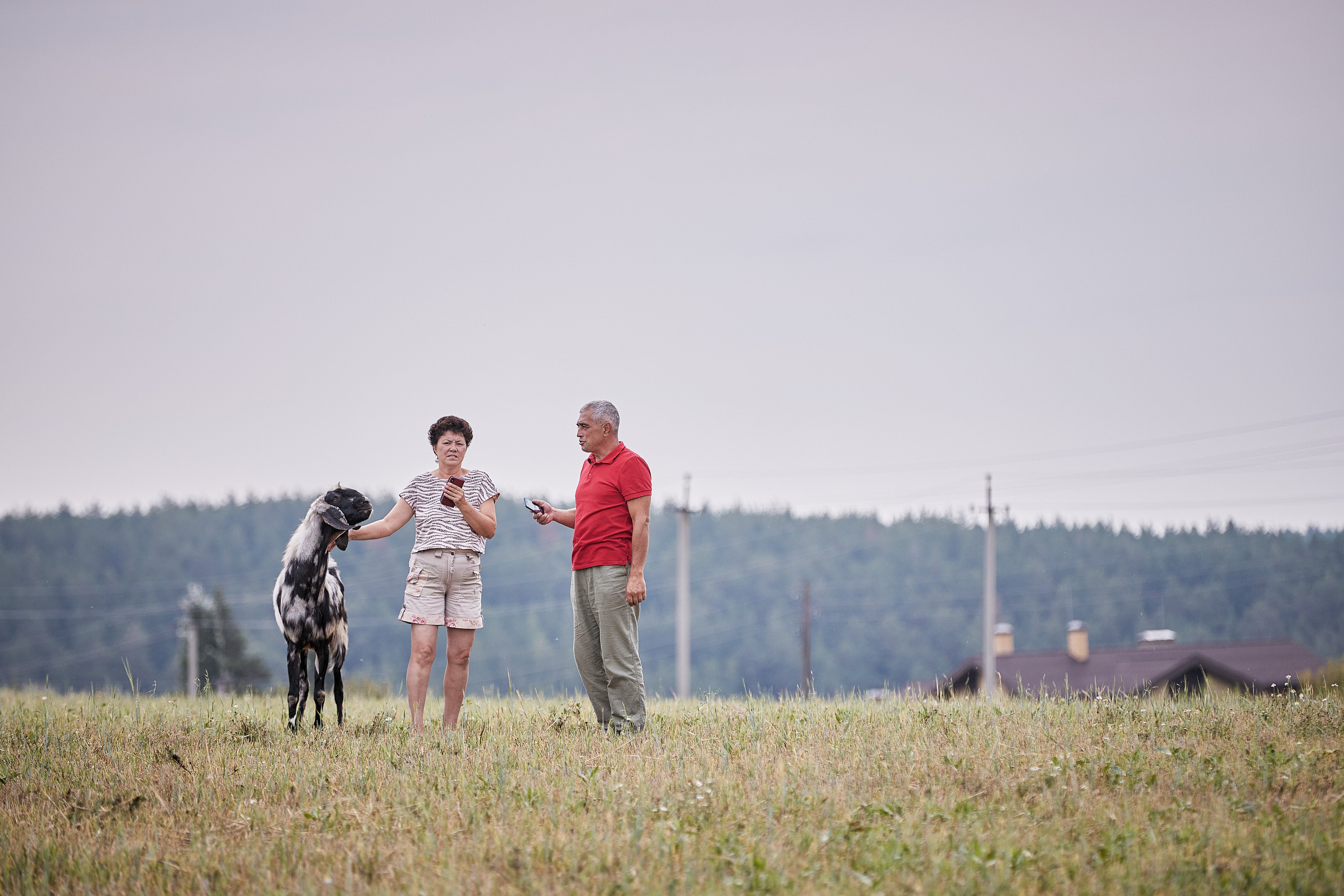 Репортаж о сельском хозяйстве. Контент для бизнеса в Екатеринбурге Полдень Медиа