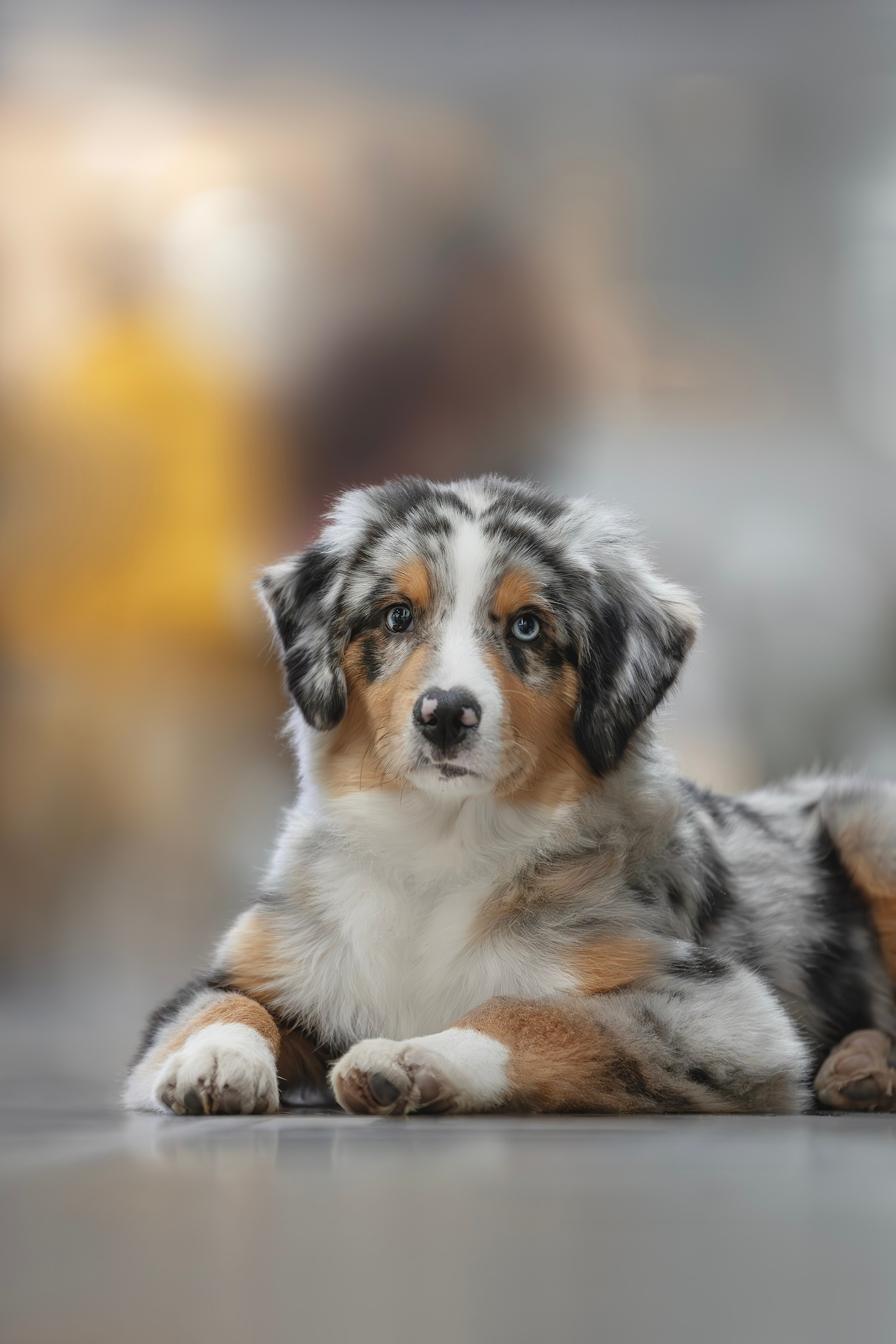 Евразия 2023. Фотограф анималист в Москве Майорова Евгения