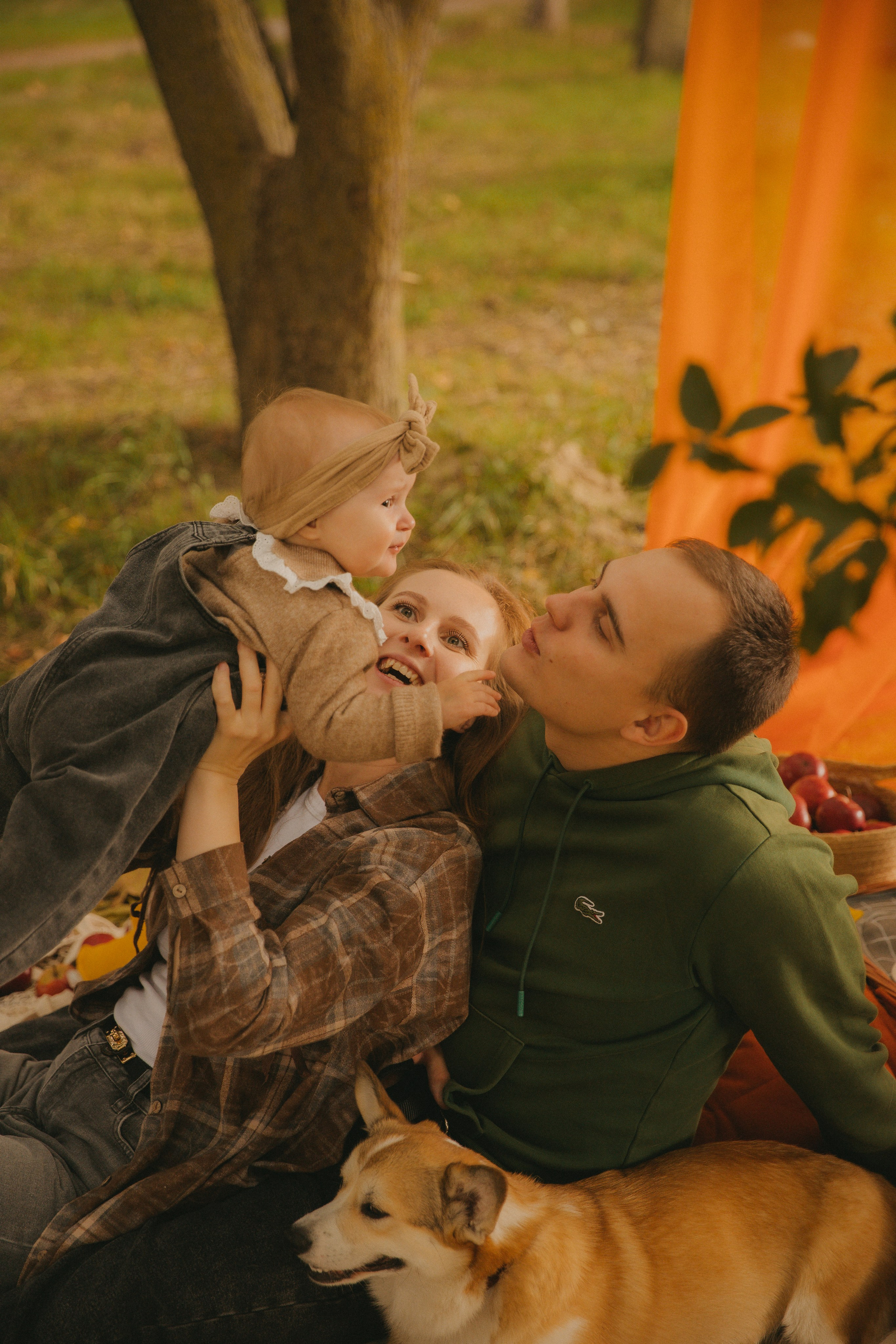 Фотопроект с корги