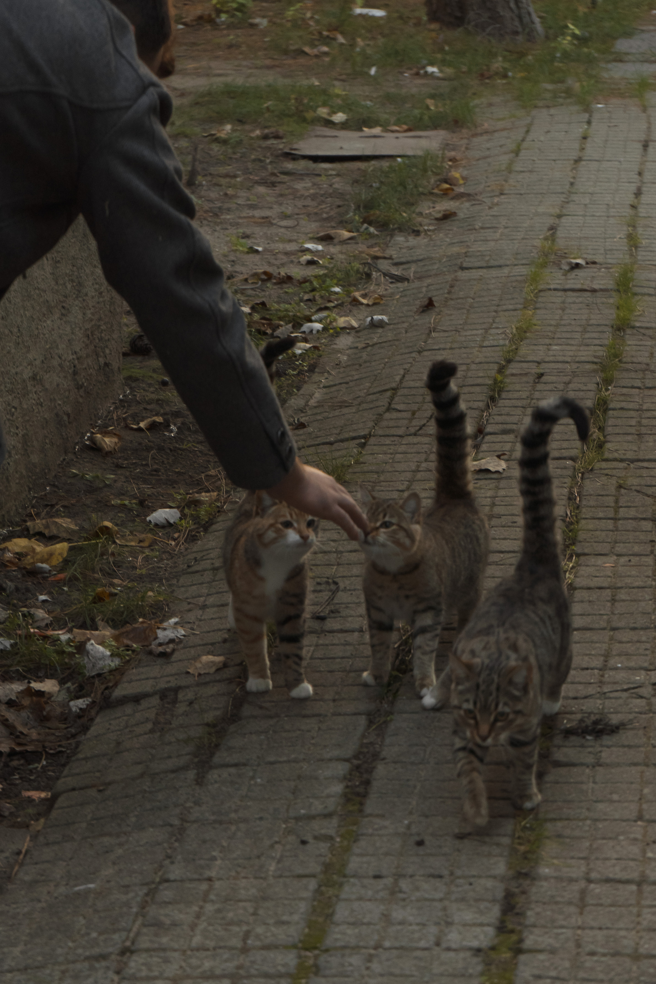 Валерия и Андрей. Фотограф Наталия Бегдан