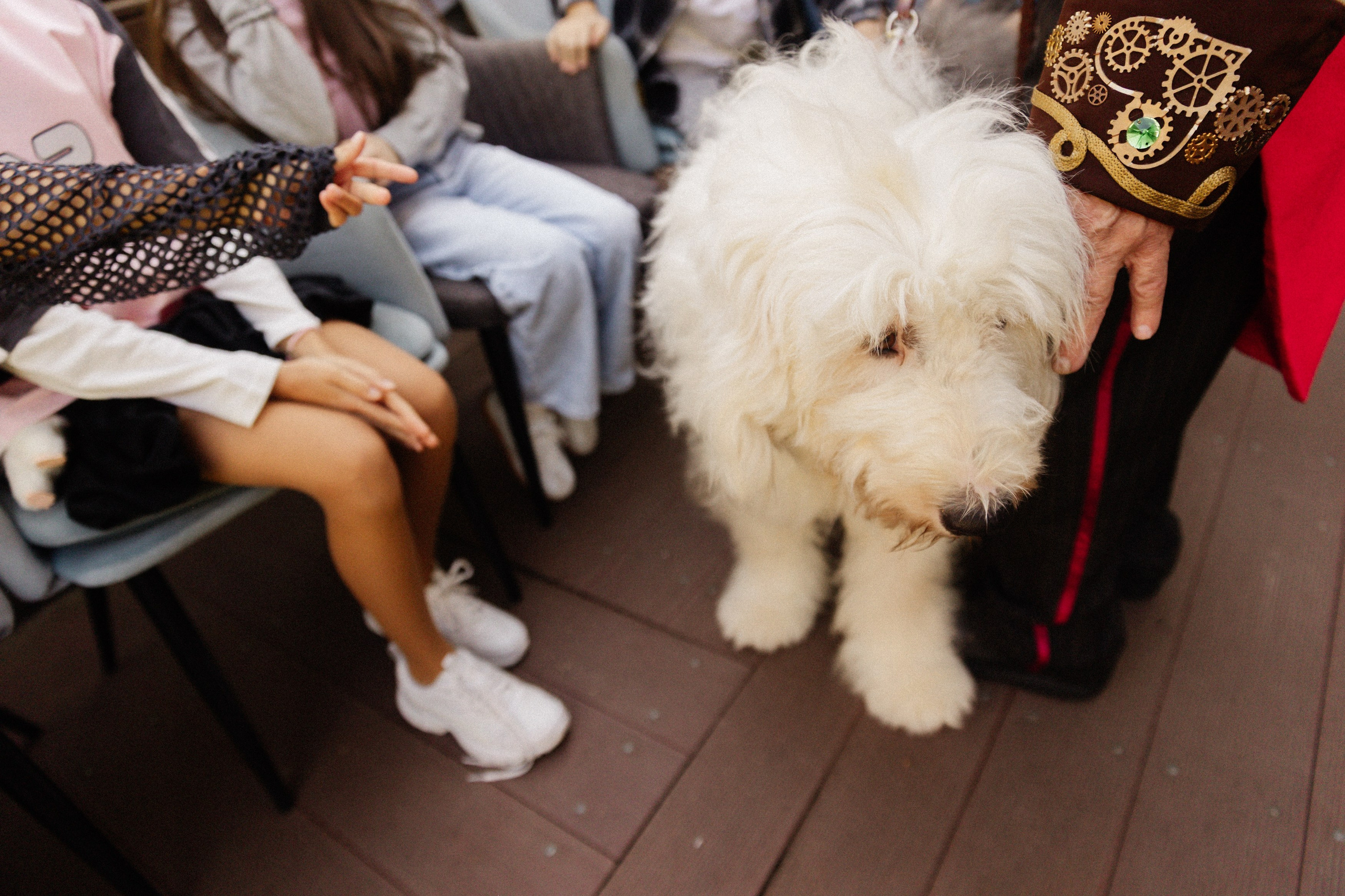 День Рождения Стефы. Татьяна Фомичева. Репортажный и светский фотограф в Москве