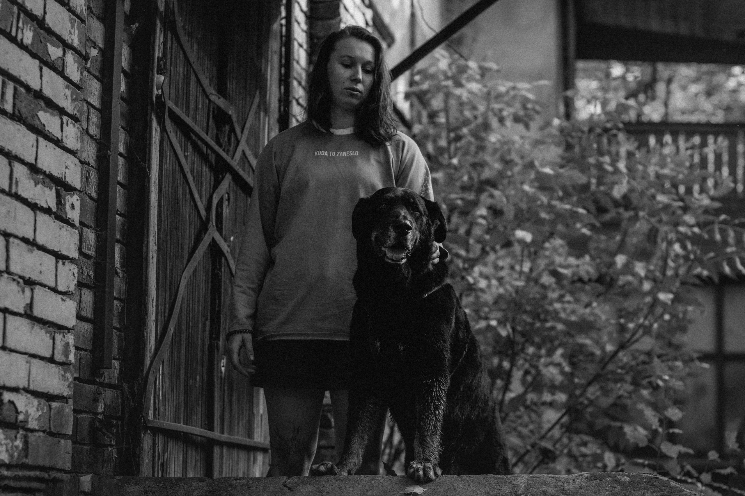 Фотосессия с собакой в осеннем парке. Фотограф собак, анималист в Москве Кира Яковлева