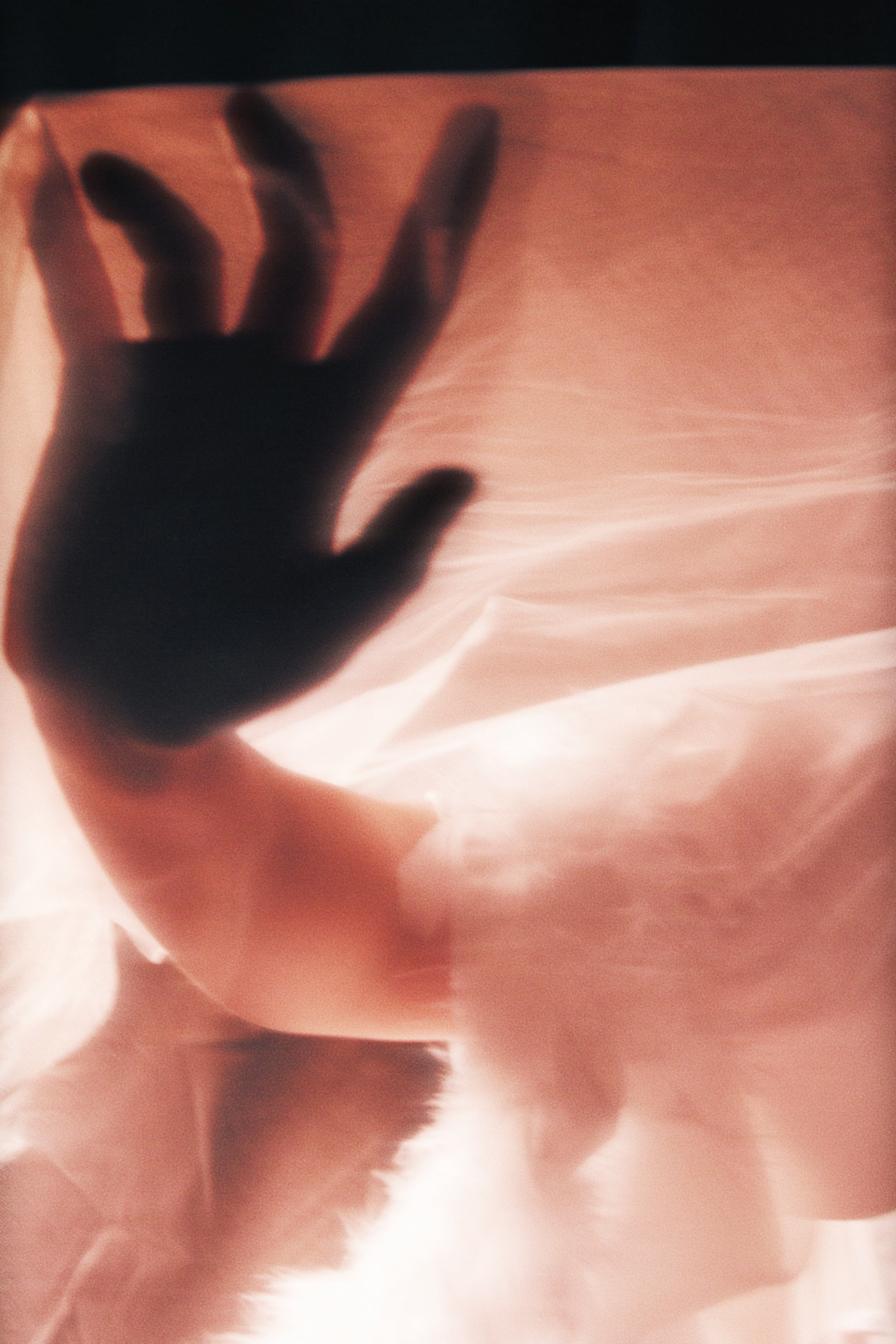 Japan. Виктория Калугина — фотограф и видеомейкер в Москве