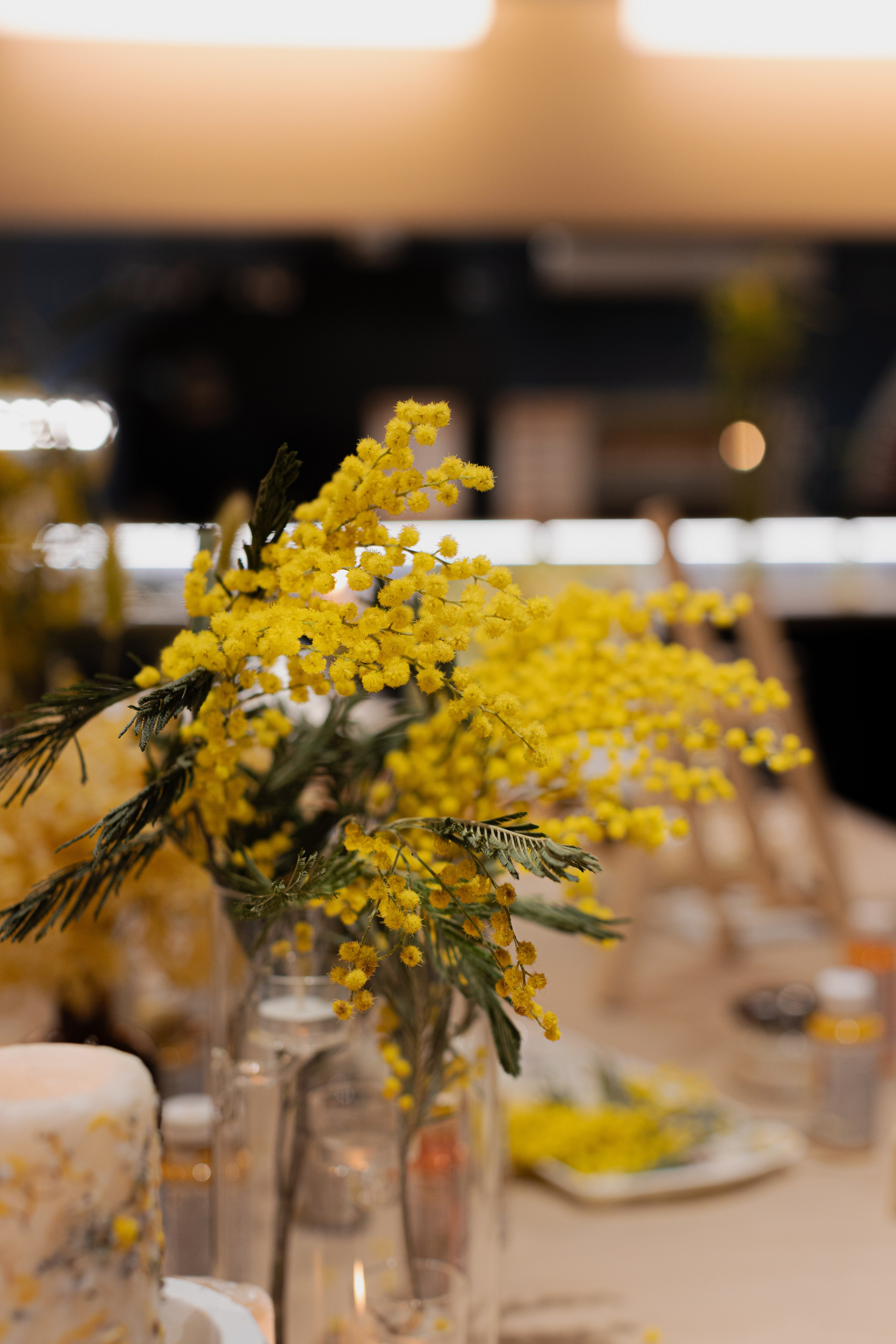 МК Мимоза. Анастасия Ракчеева Художник