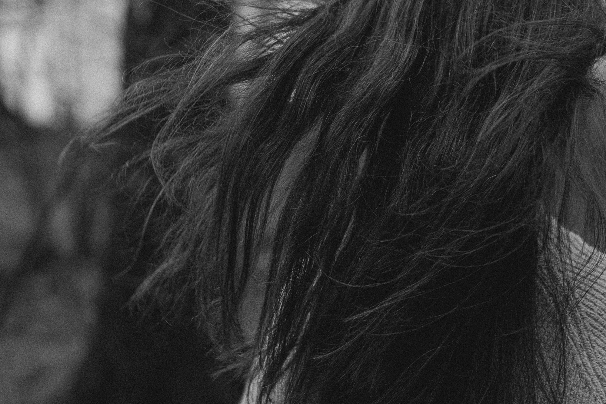 Наташа и Сириус. Фотограф анималист в Москве и Санкт-Петербурге Свиридова Анна