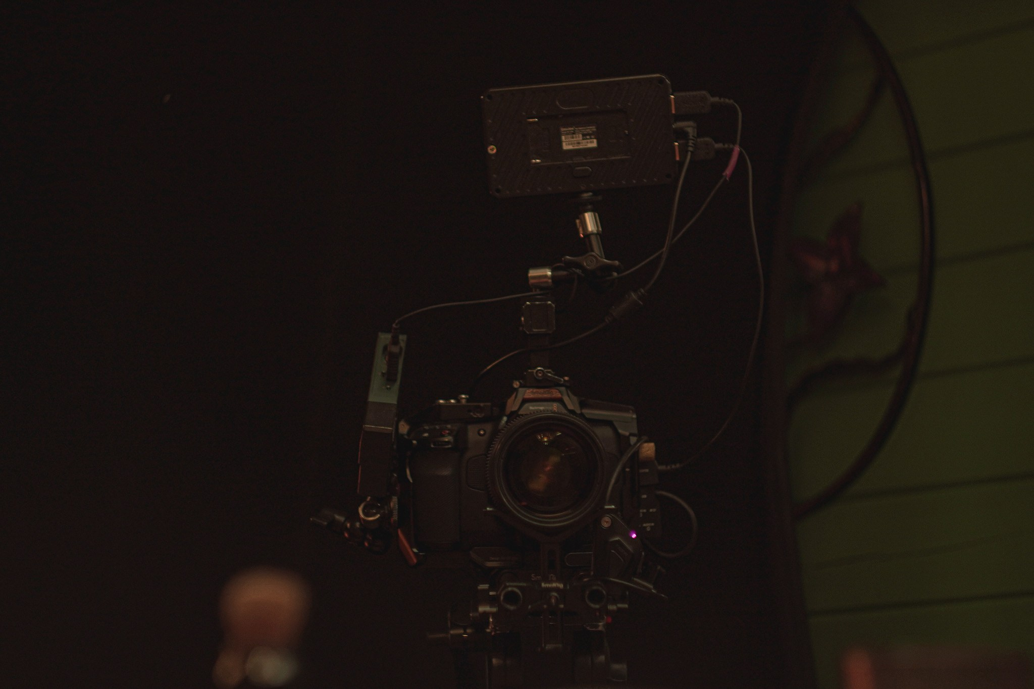 За кадром — КФ " Щелчок ". Beardy Pix