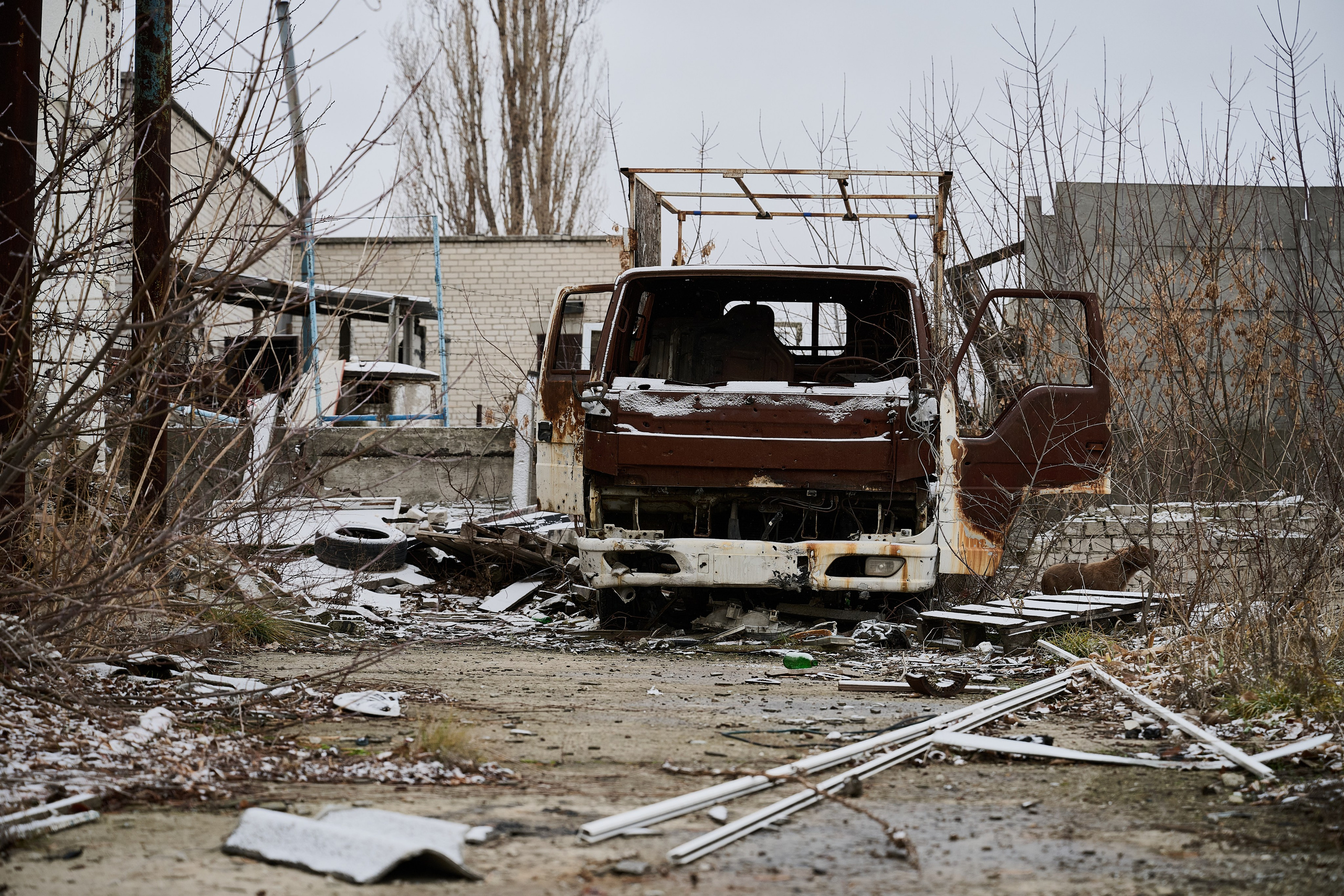 Фото для презентации фотопроекта «Территории». Фотопроект «Территории»