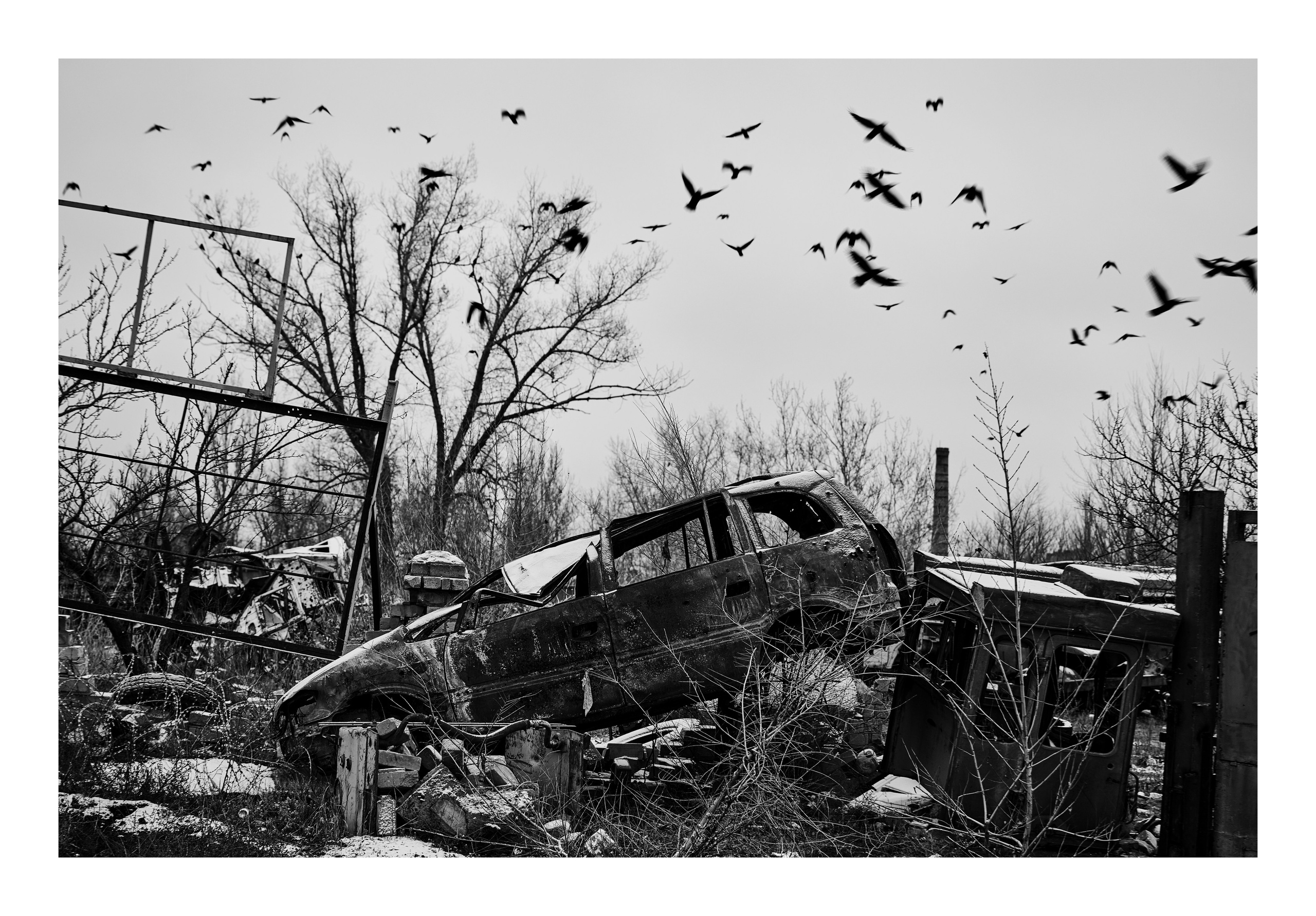 Фотопринты А3. Фотопроект «Территории»