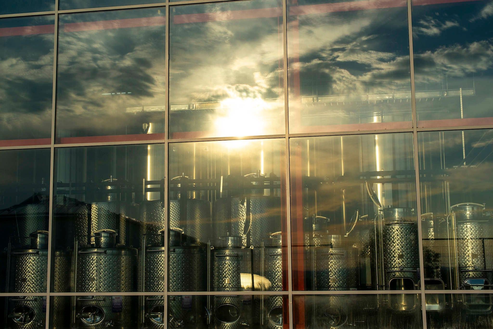 Винодельни Краснодарского края. Фотограф Михаил Мордасов, Сочи. Мероприятия, портреты, спорт, репортаж