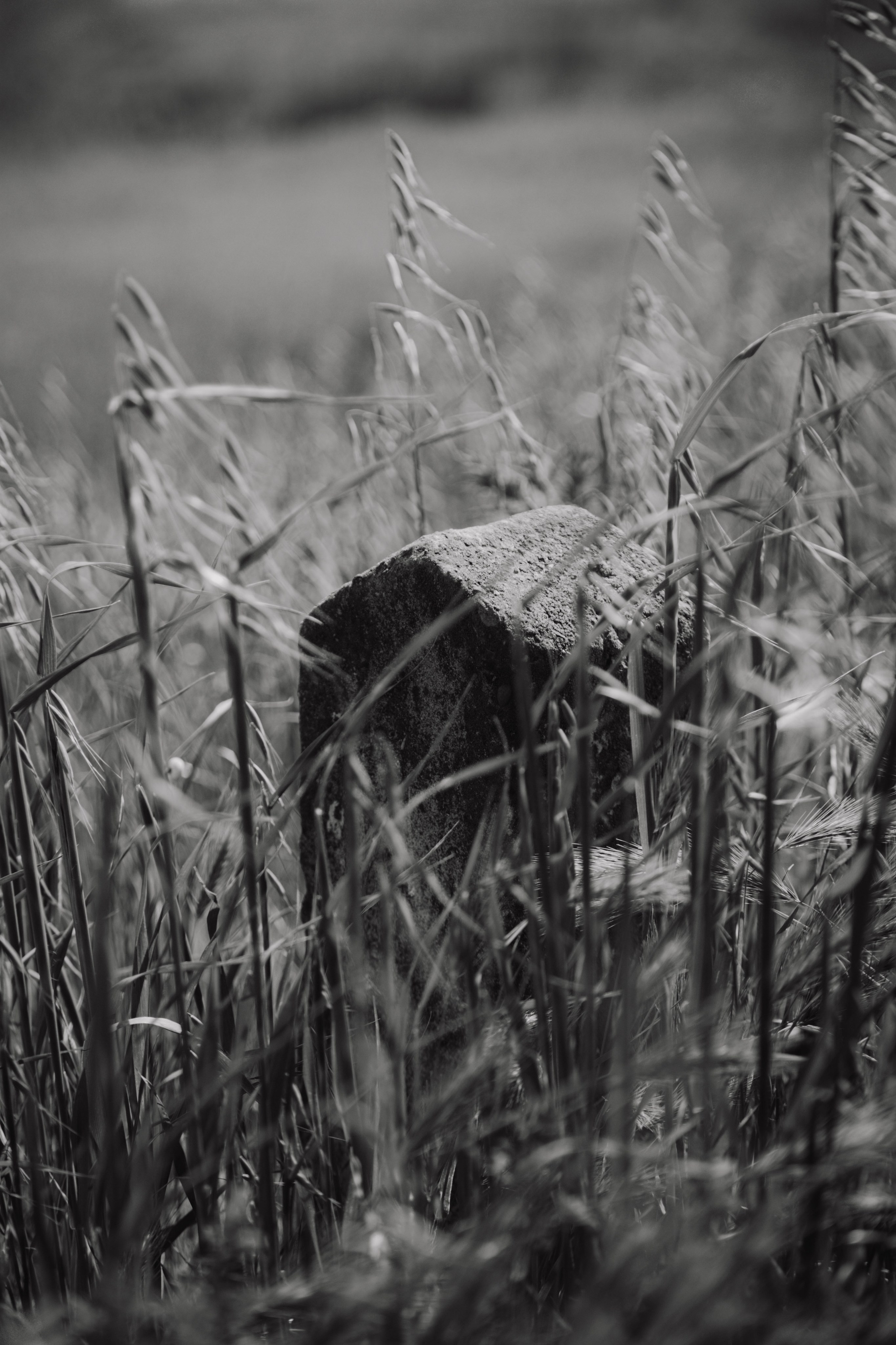 Новый Хушет. Dmitriy [KCCC] is a pretty cool photographer