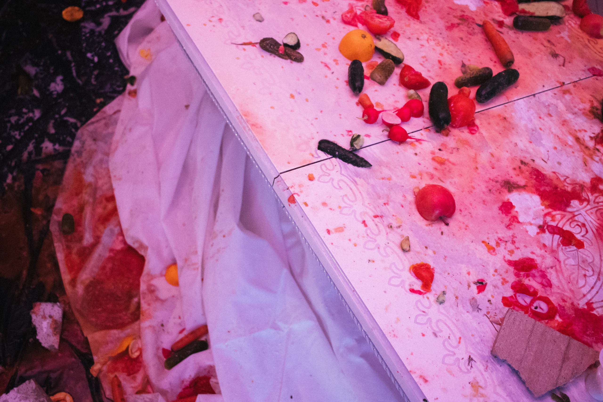 Фестивали, выставки. Коммерческий фотограф в Санкт-Петербурге (СПб) Екатерина Панчёха, Панчёшка