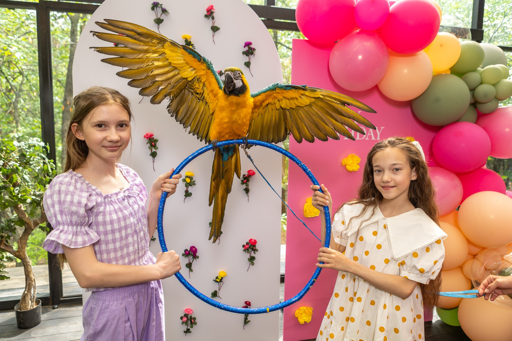 День Рождения в Зелёной Горчице. Фотограф в Оренбурге. Профессиональный фотограф