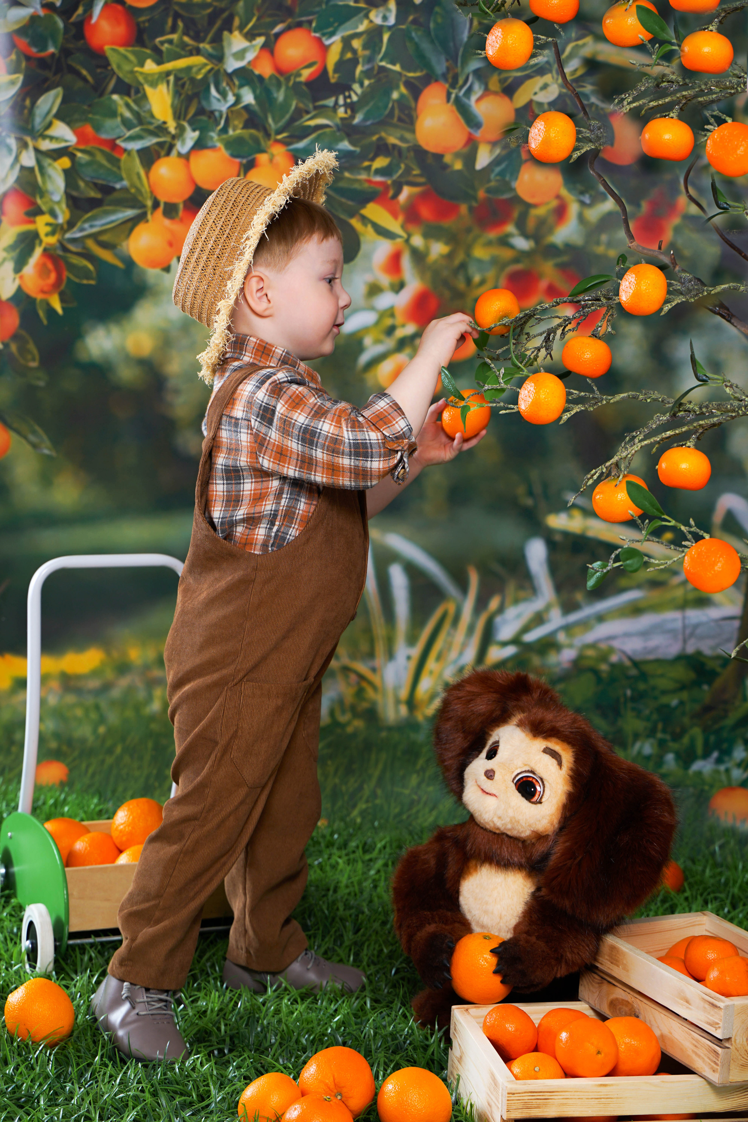 Чебурашка. Студия детской фотографии