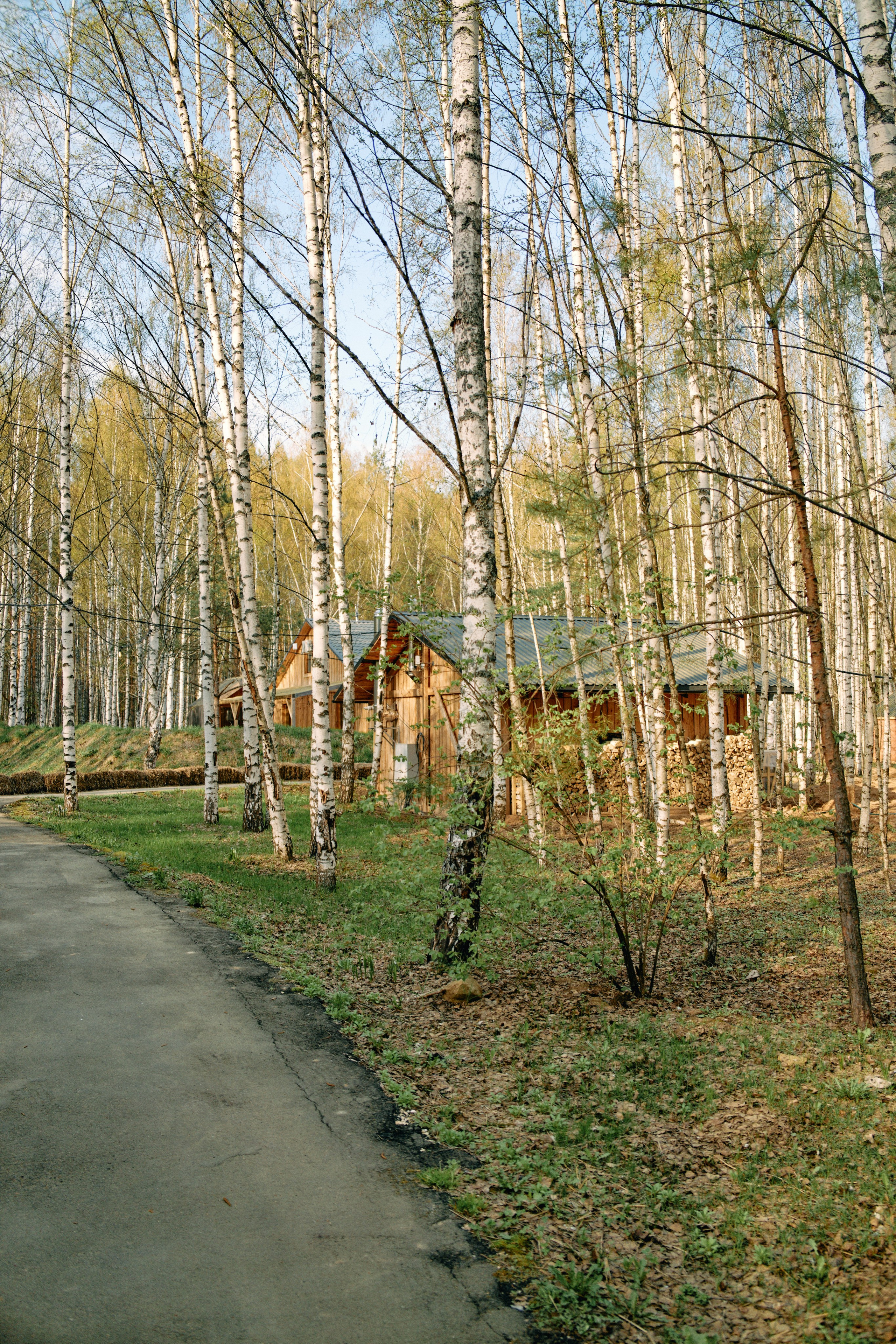 Бутик-отель Поле летом. Профессиональный Фотограф во Владимире, в Москве и в Суздале — Полина Романычева