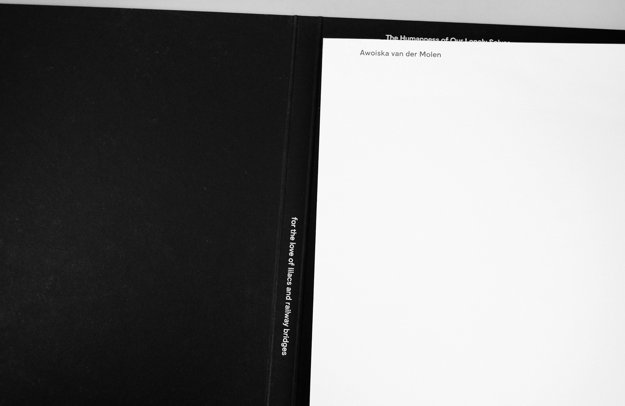 Как форма книги может влиять на концепт?. Самоорганизация Низина