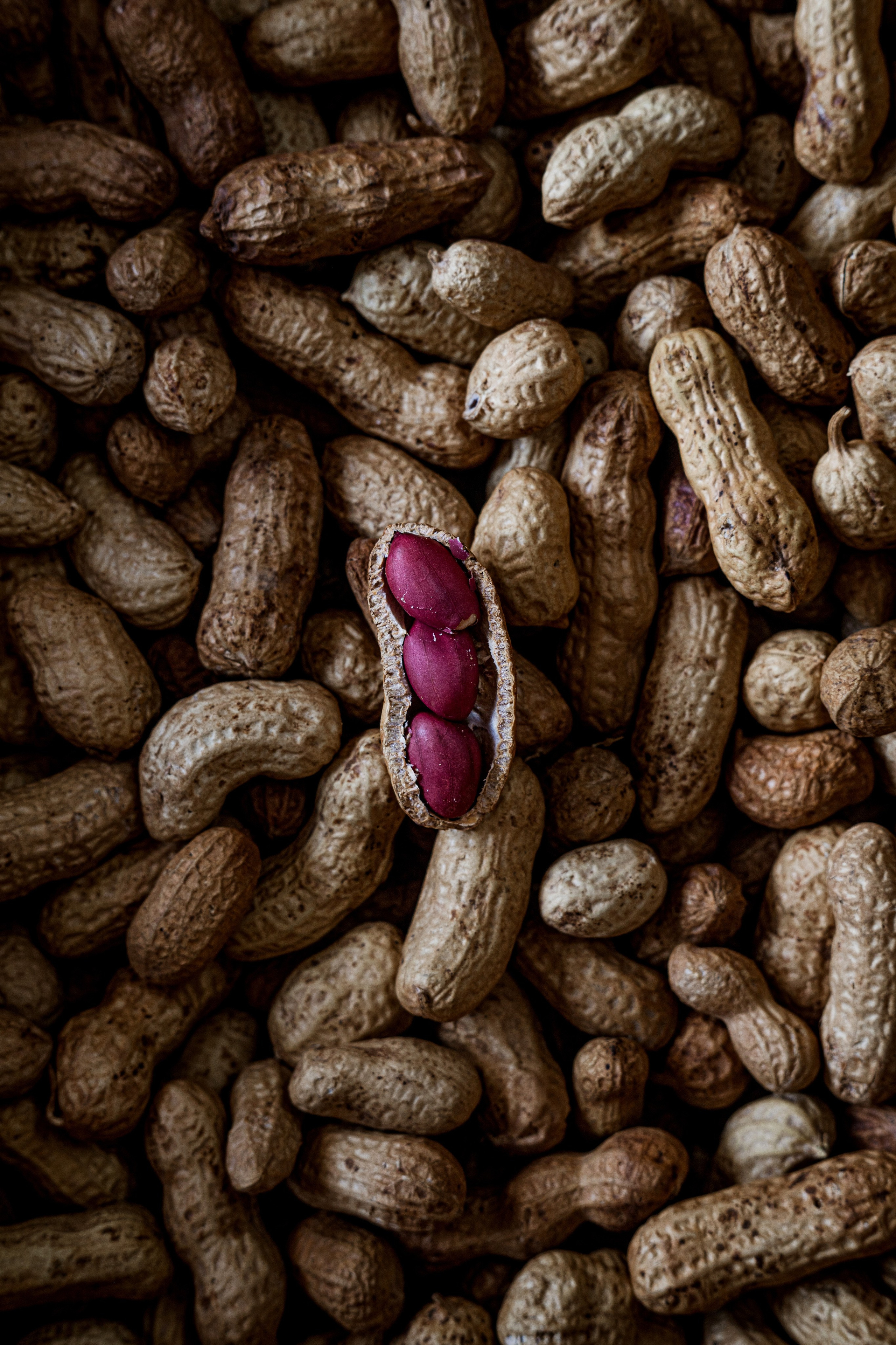 Фуд Фотография. Фотограф г. Тамбов г. Воронеж Богдан Тарасов