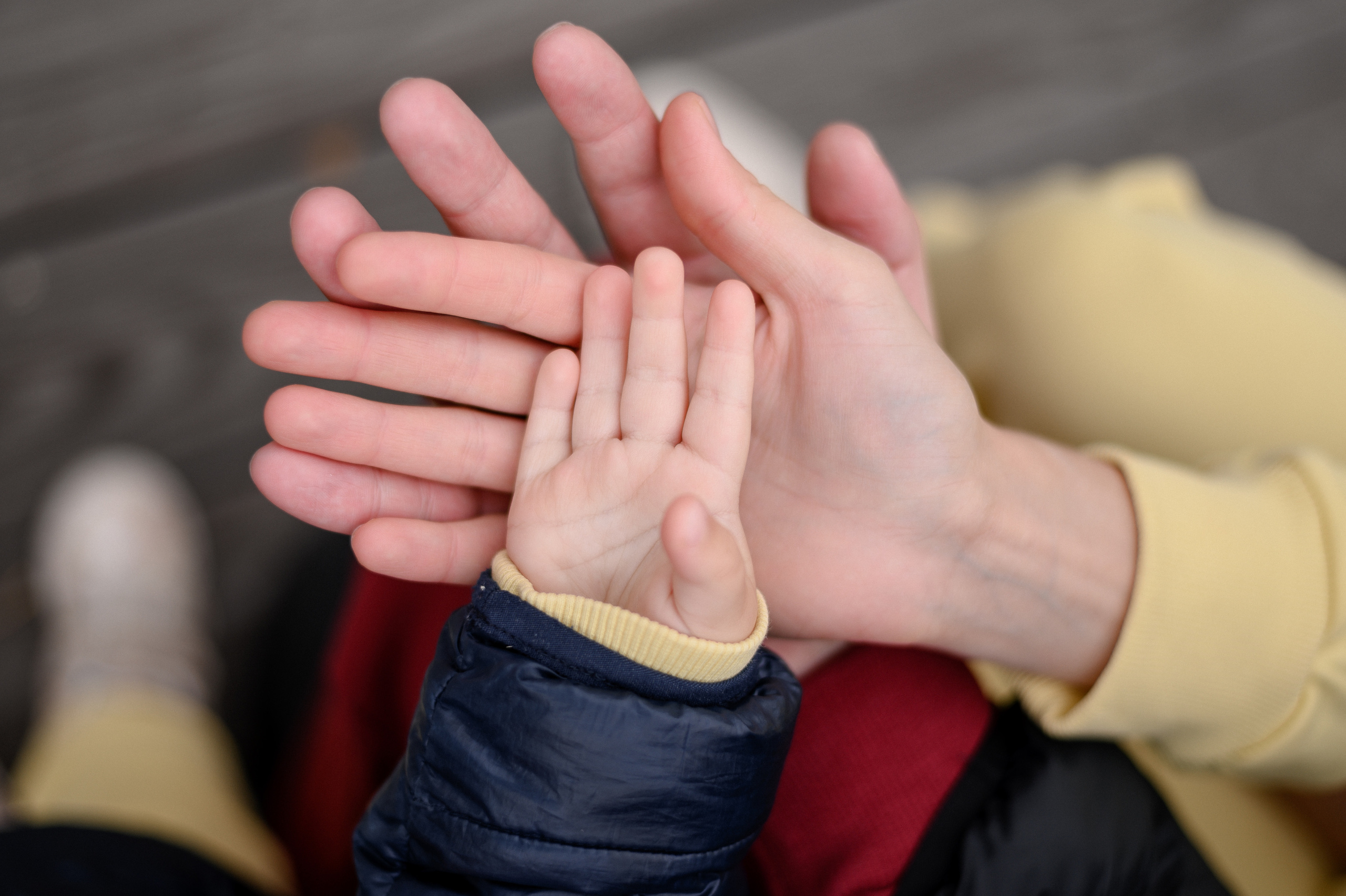 Т&А. Свадебный и семейный фотограф в Красноярске Виктория Тимонина