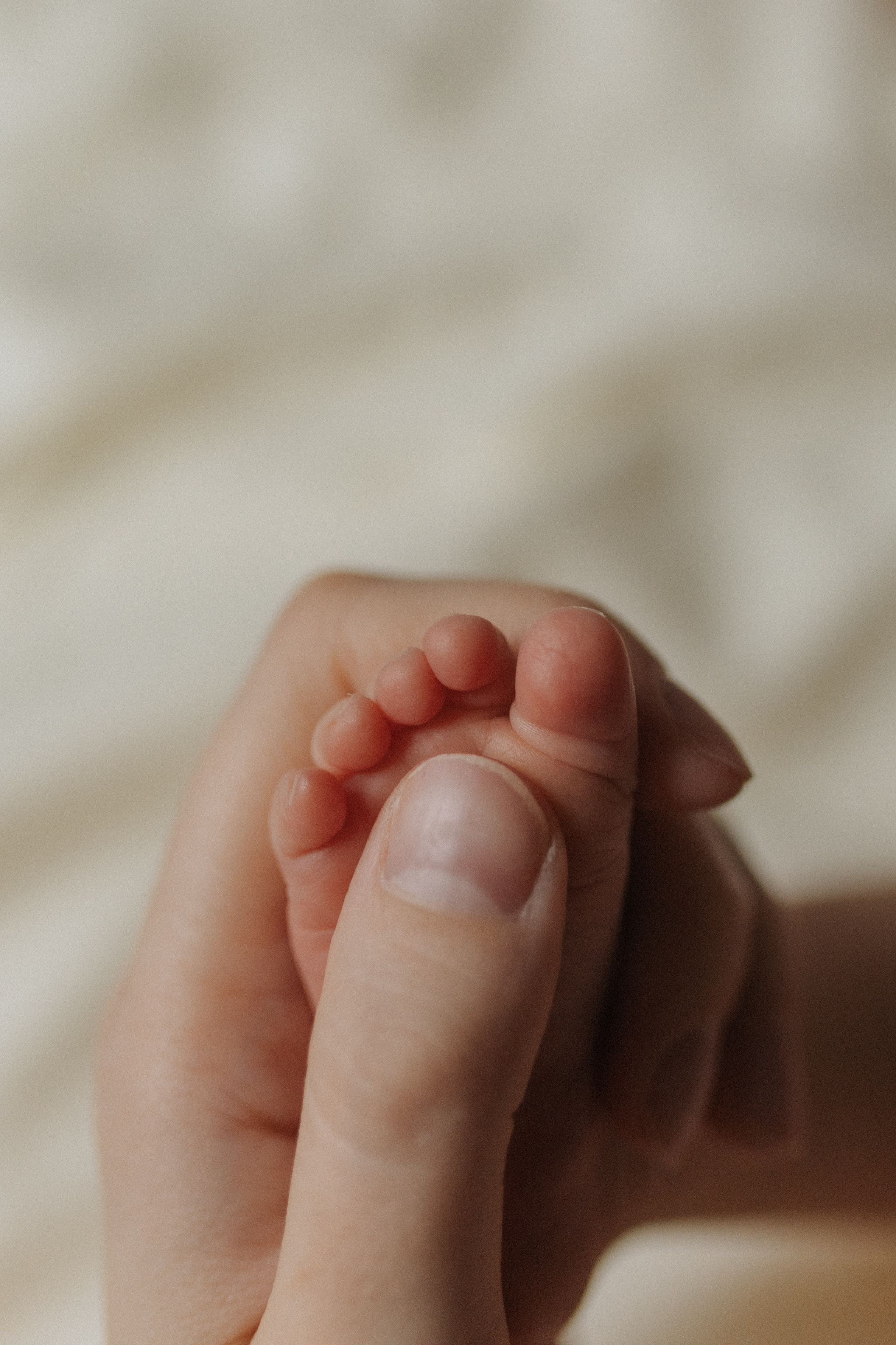 Новорожденные. Главная