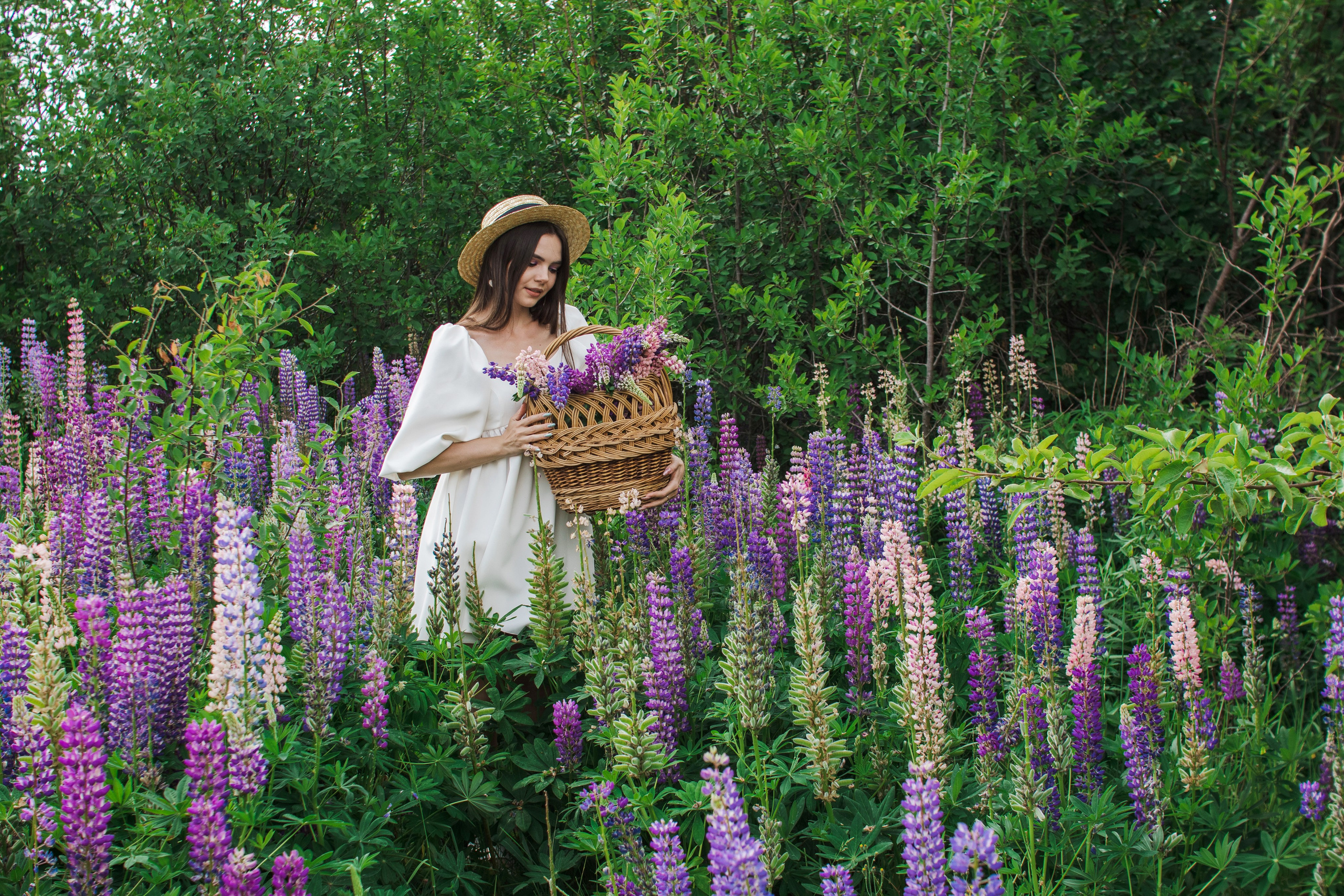 Девушках в люпинах