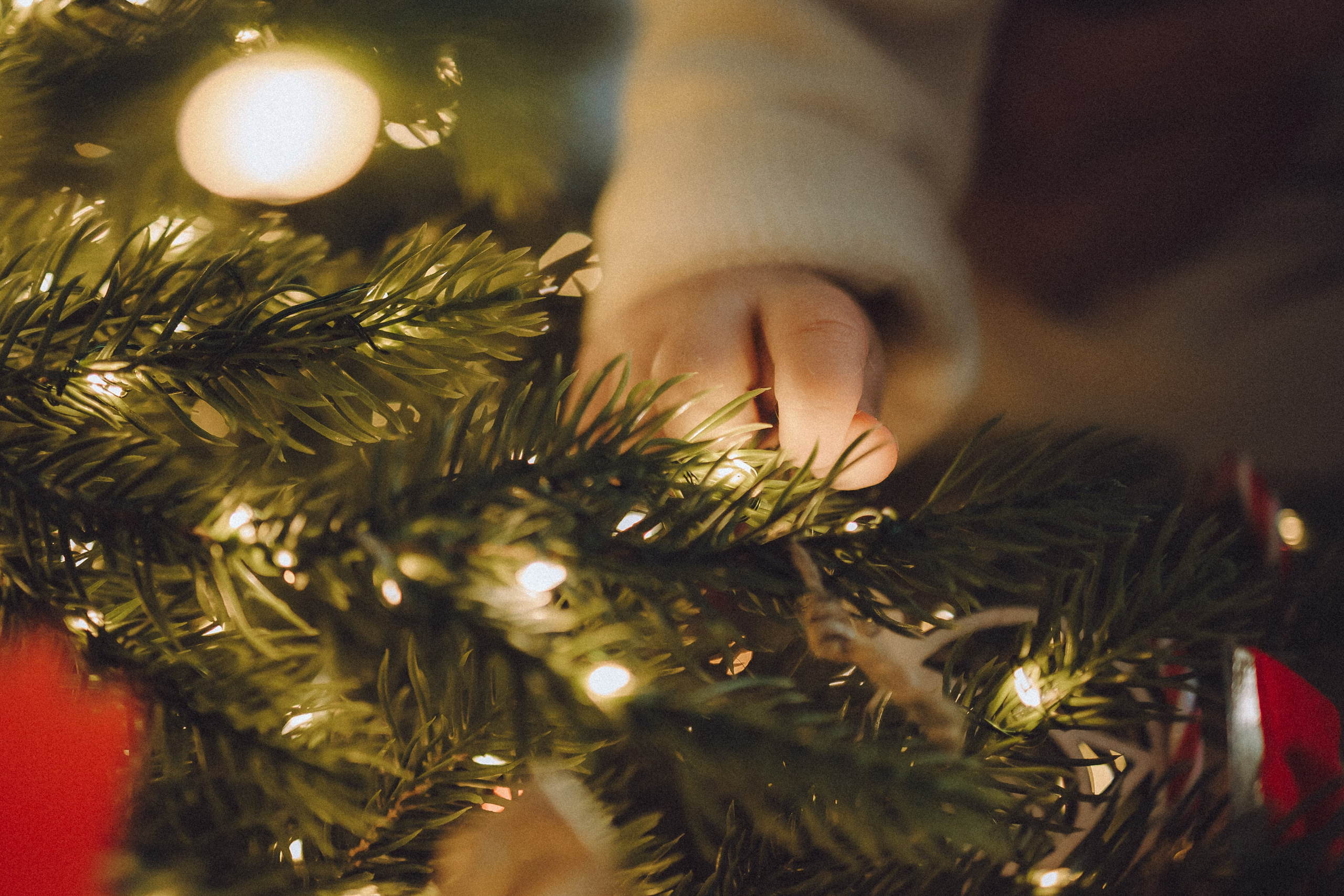 Топик и его семья